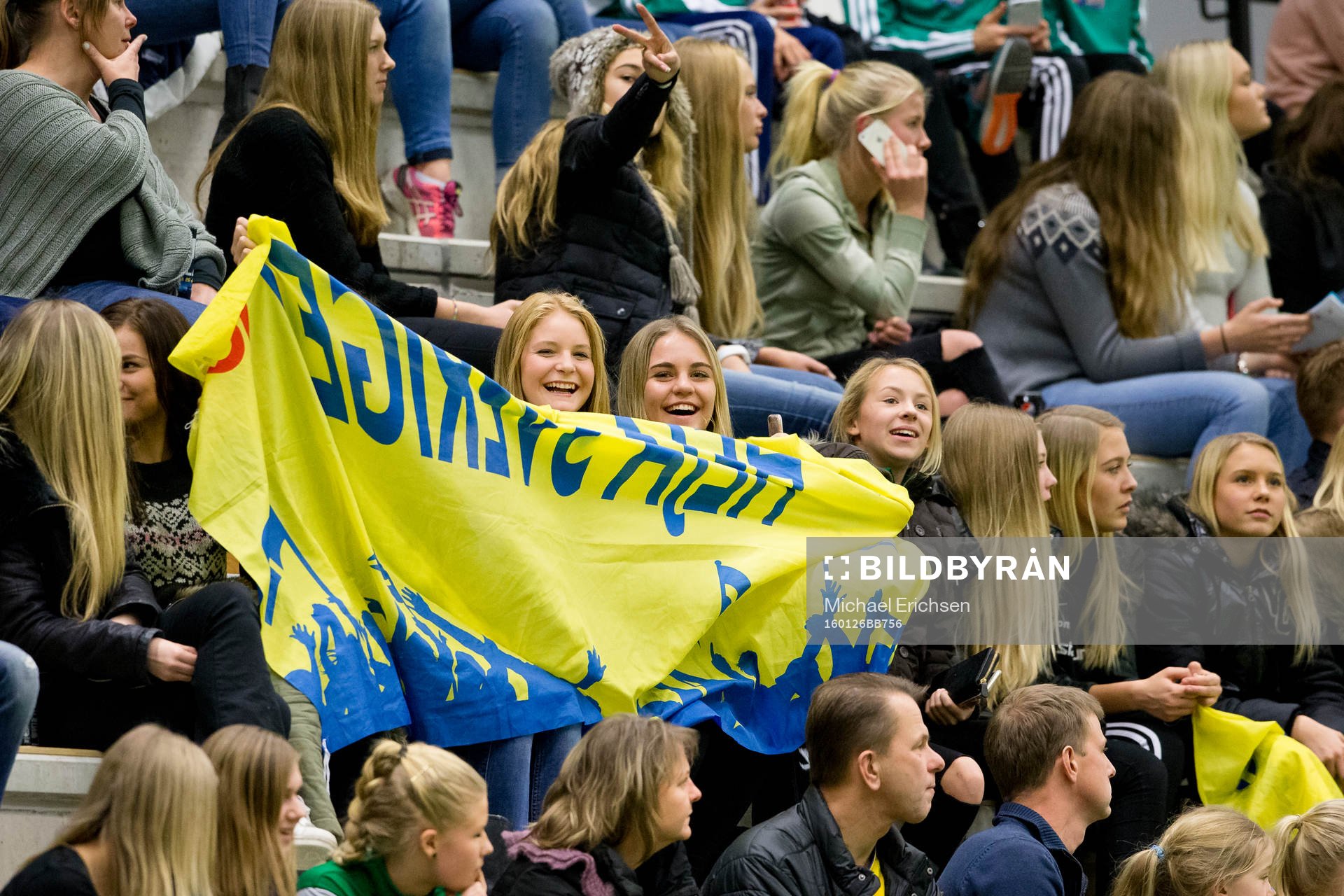 Svenska fans