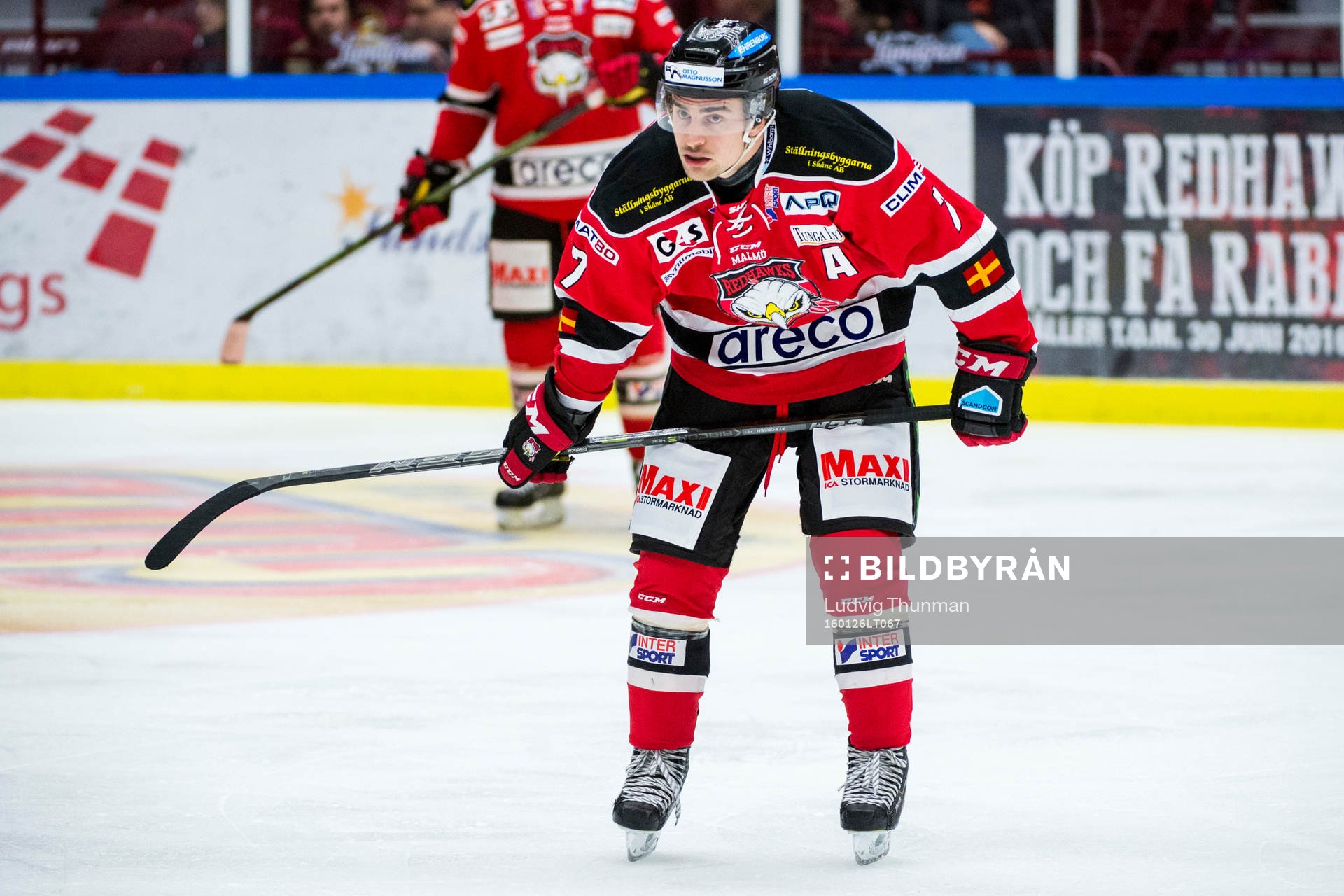Malmö Redhawks Nils Andersson