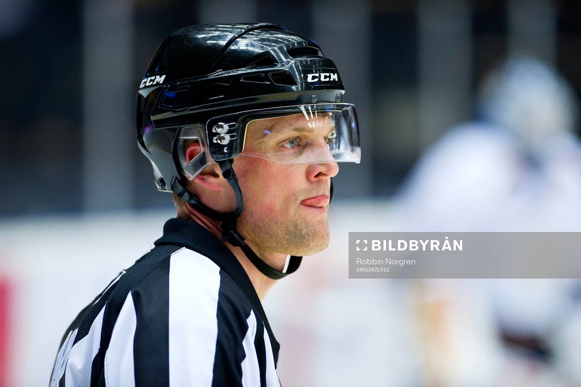 Domaren Mikael Nord