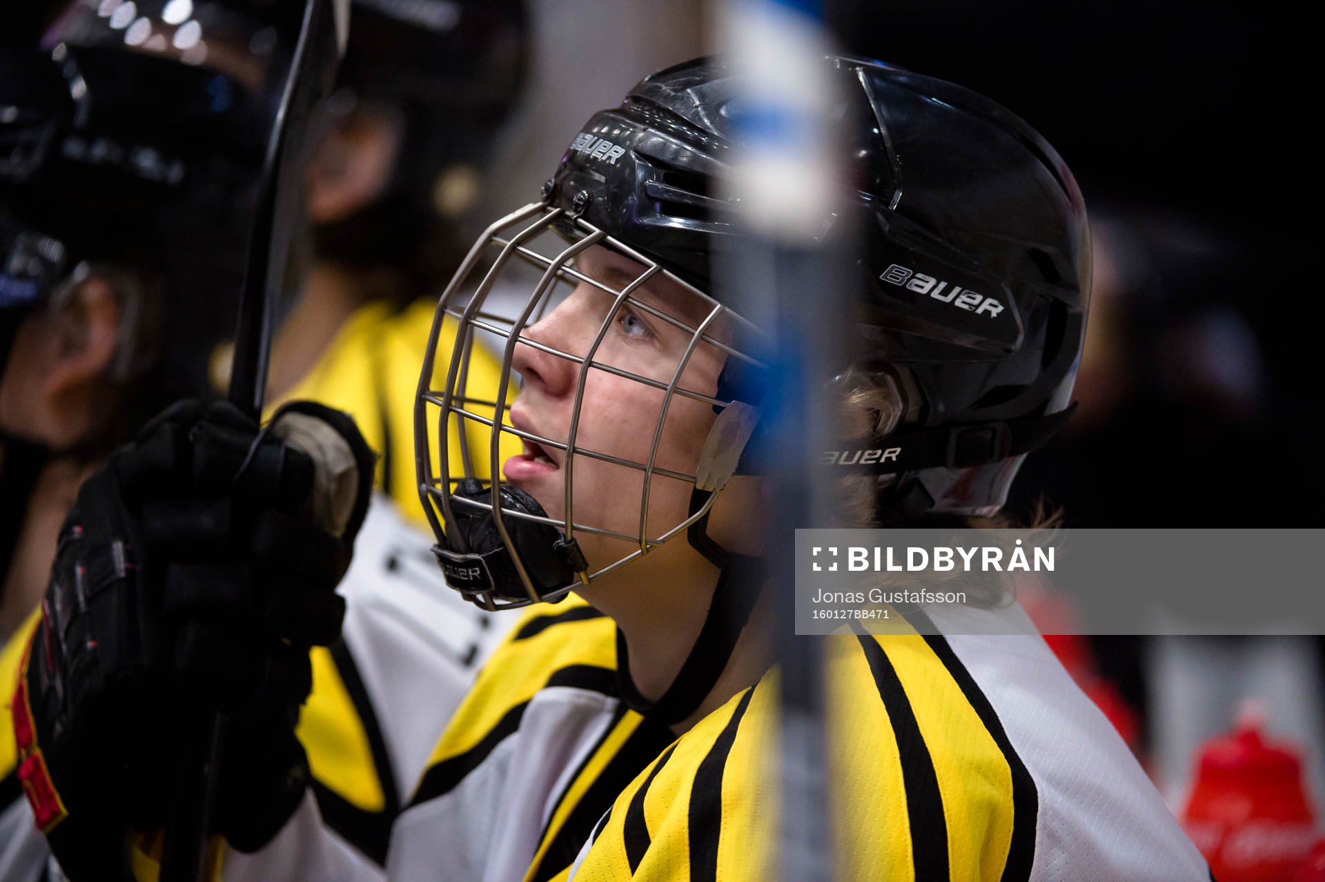 Brynäs Jesper Boqvist