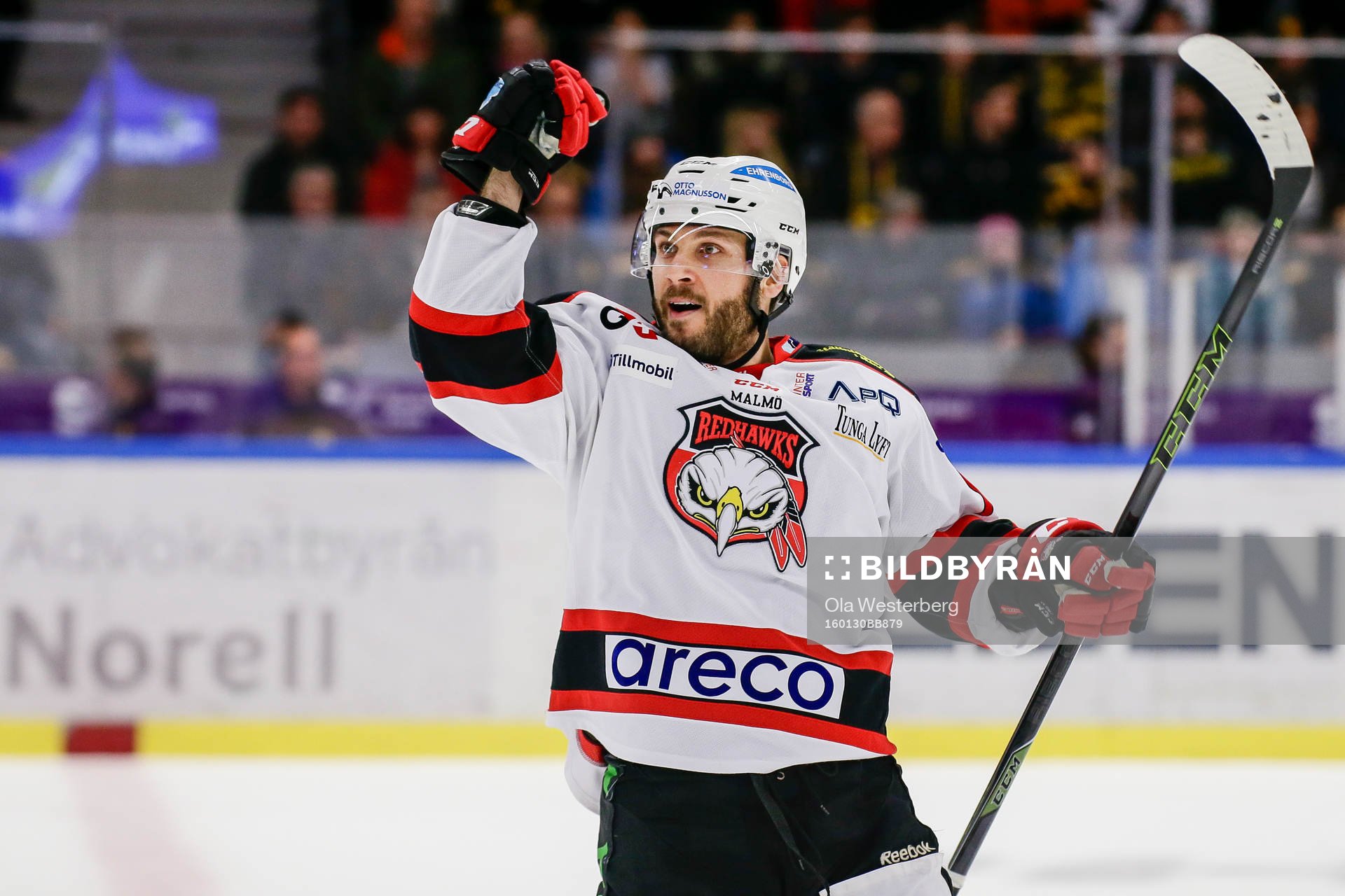 Malmö Redhawks Joey Tenute jublar