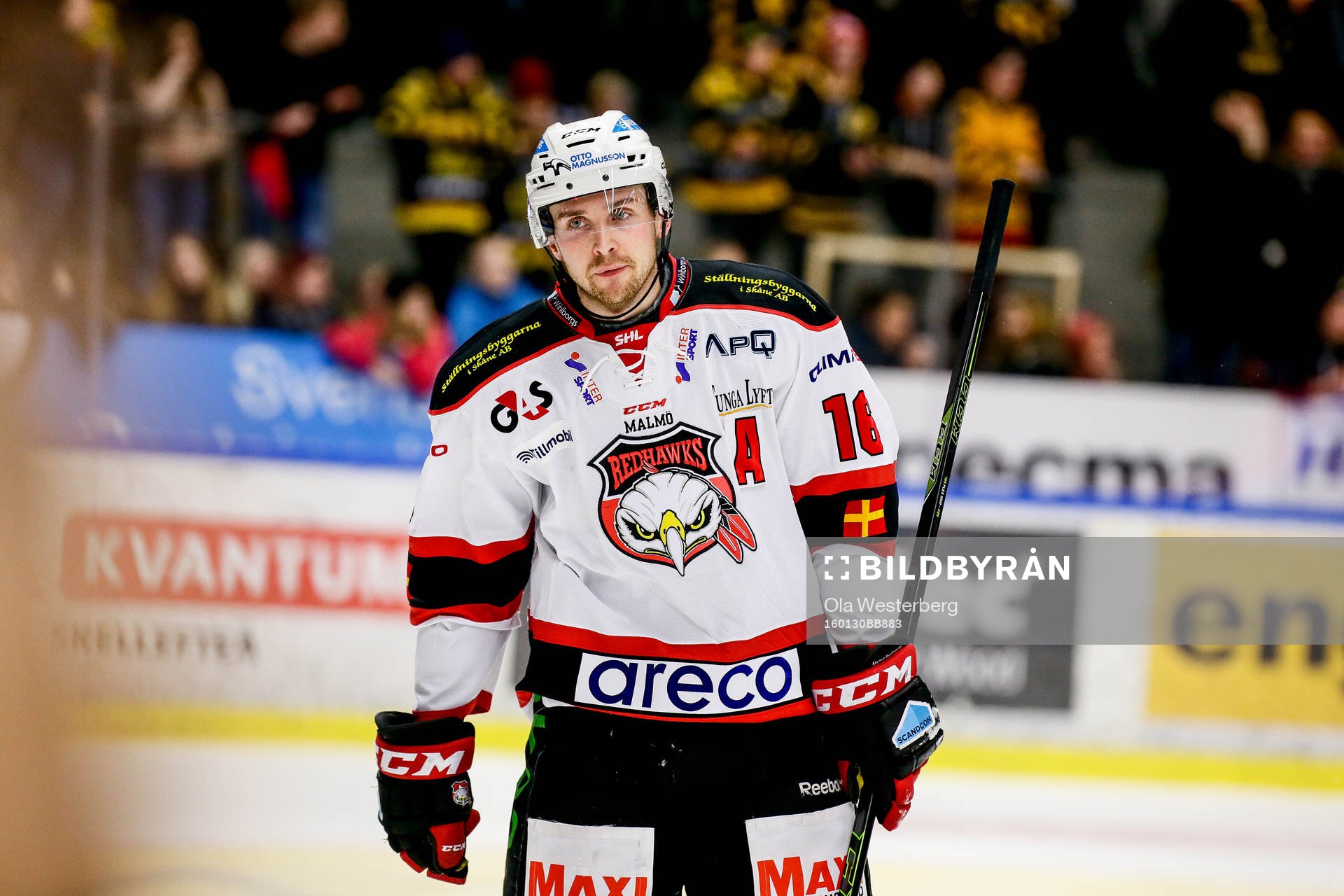 Malmö Redhawks Magnus Häggström