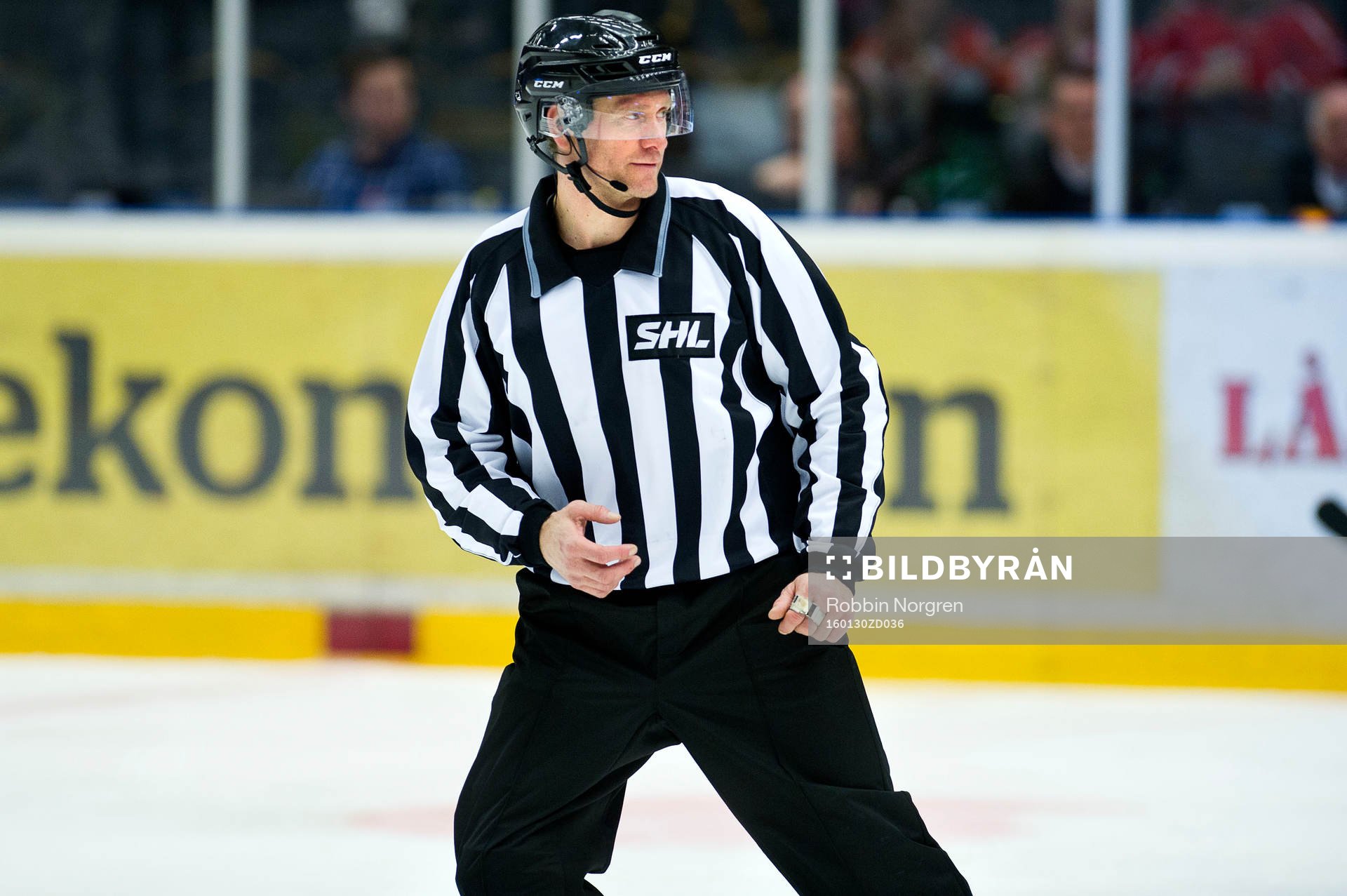 Domaren Jan Sandström