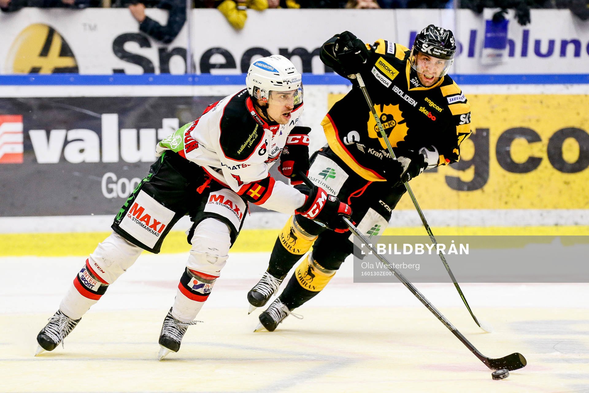 Skellefteås Pontus Petterström