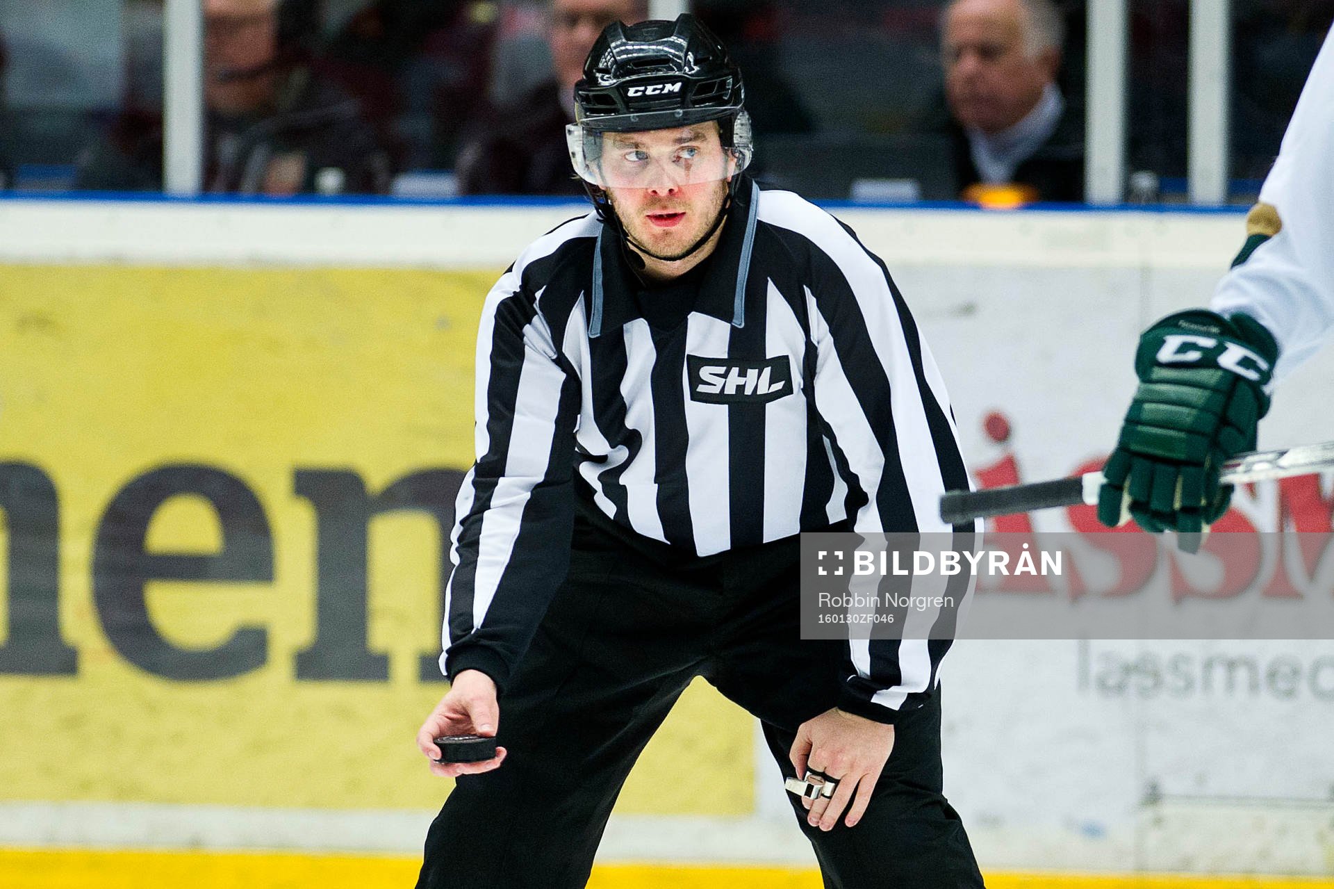 Domaren Daniel Persson