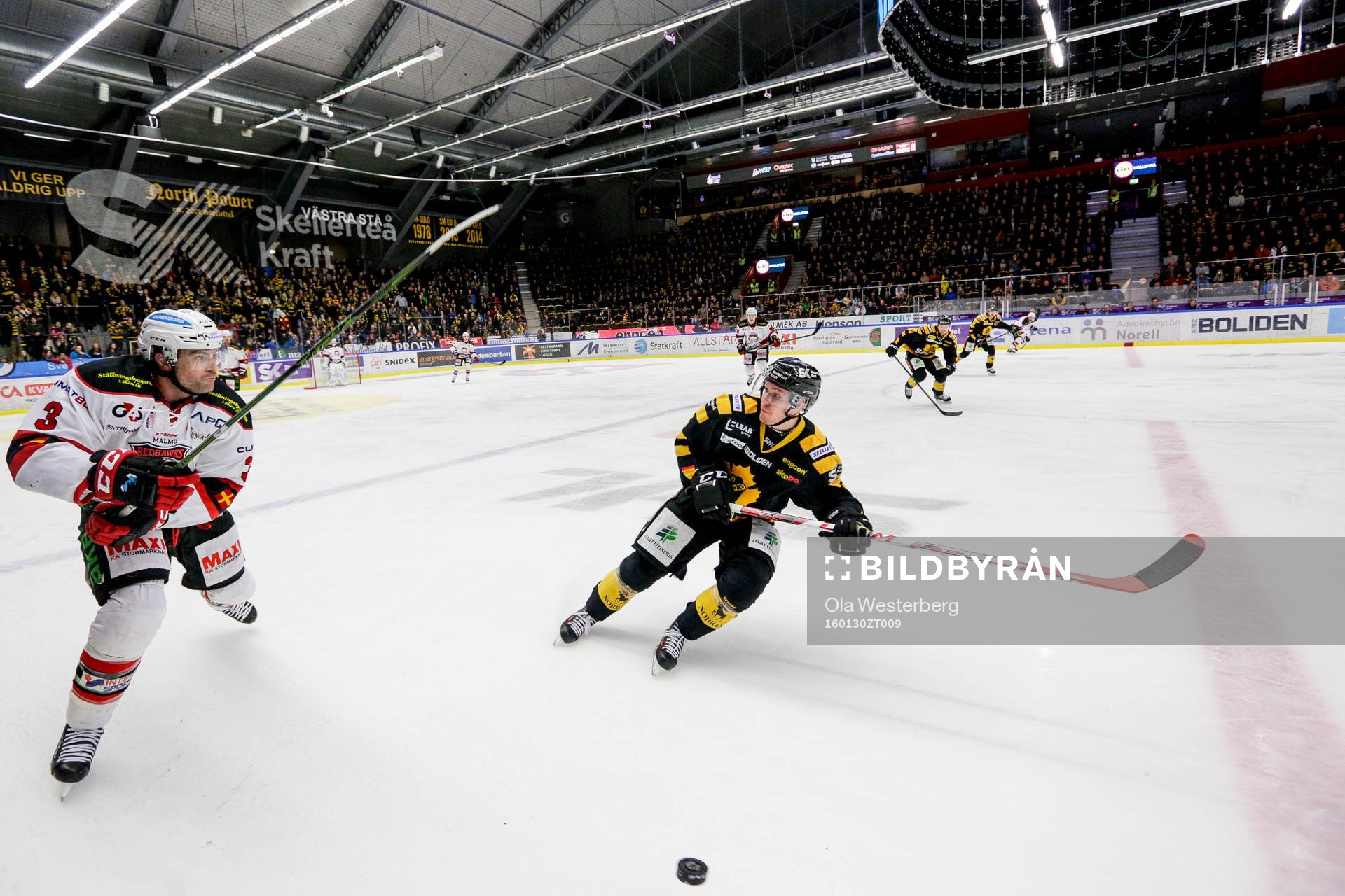 Skellefteås Niclas Burström