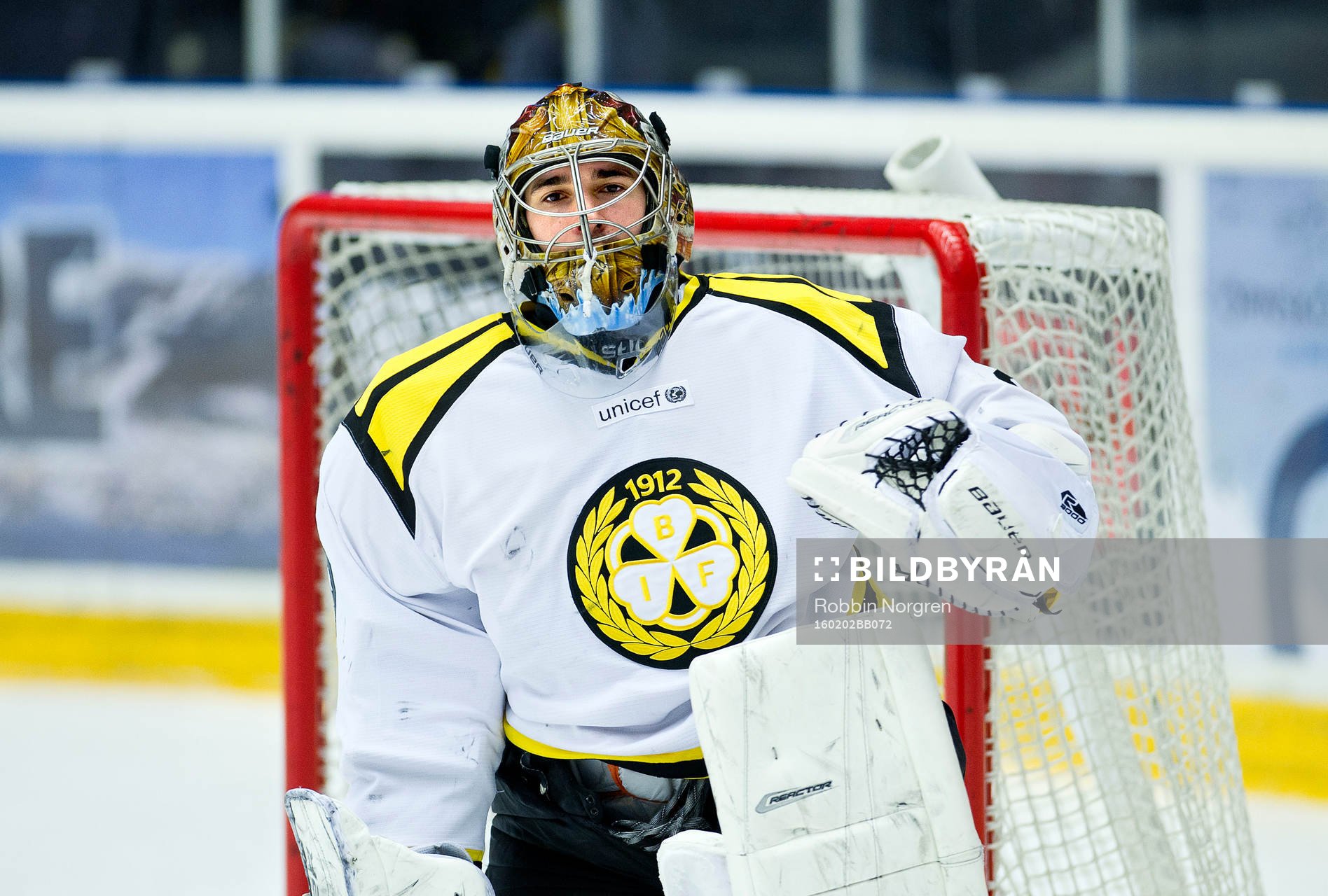 Brynäs målvakt Bernhard Starkbaum