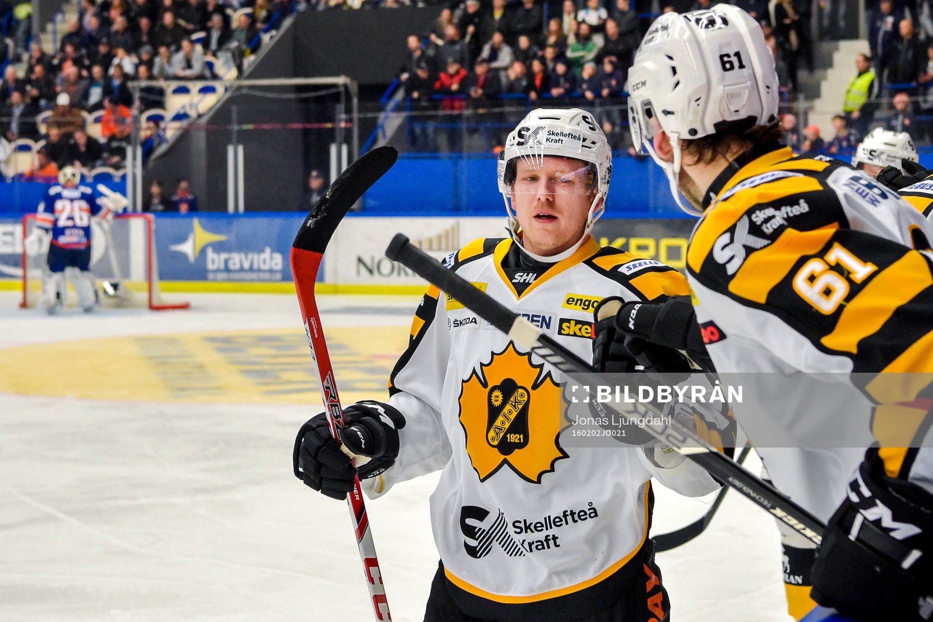 Skellefteås Tim Heed jublar