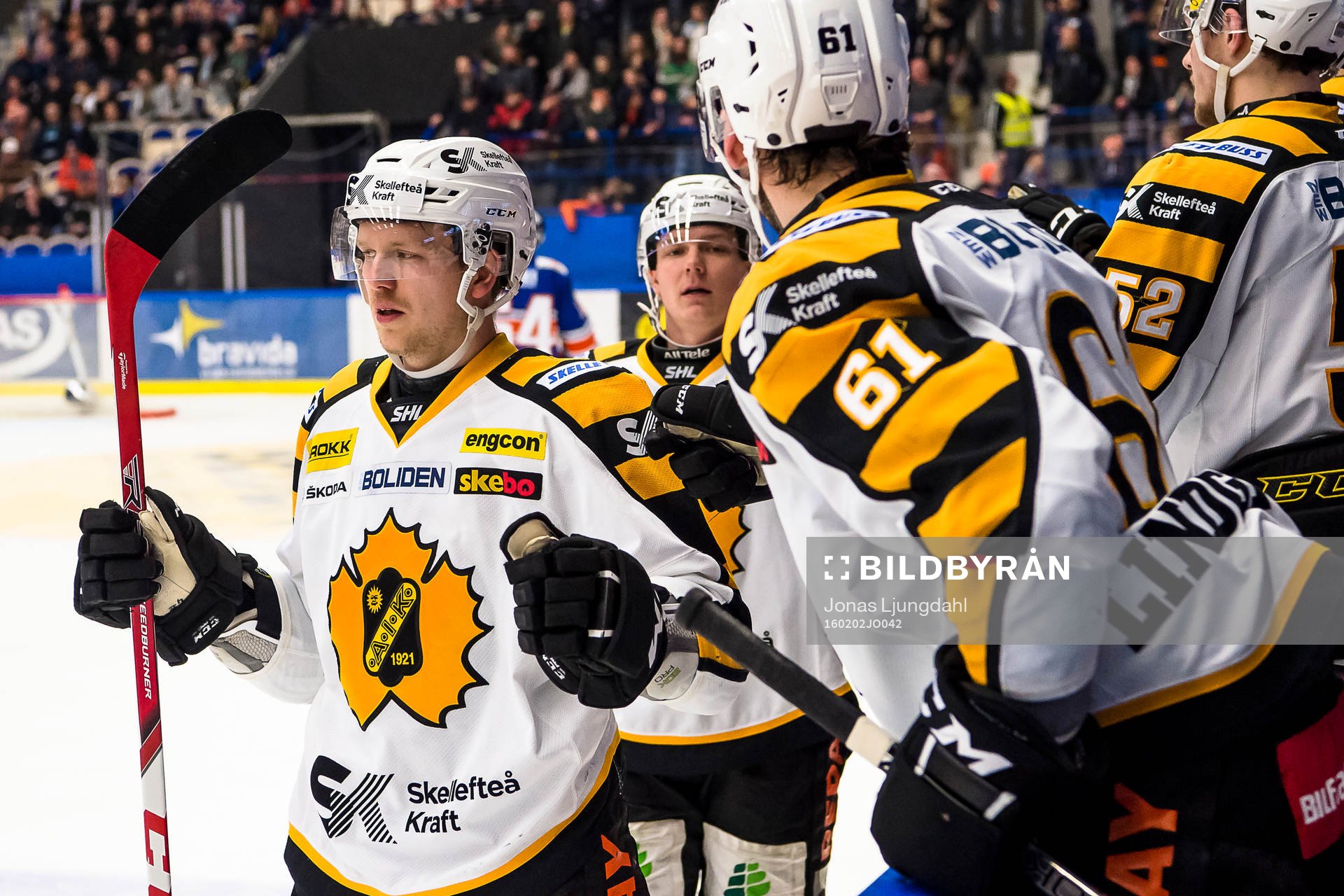 Skellefteås Tim Heed jublar