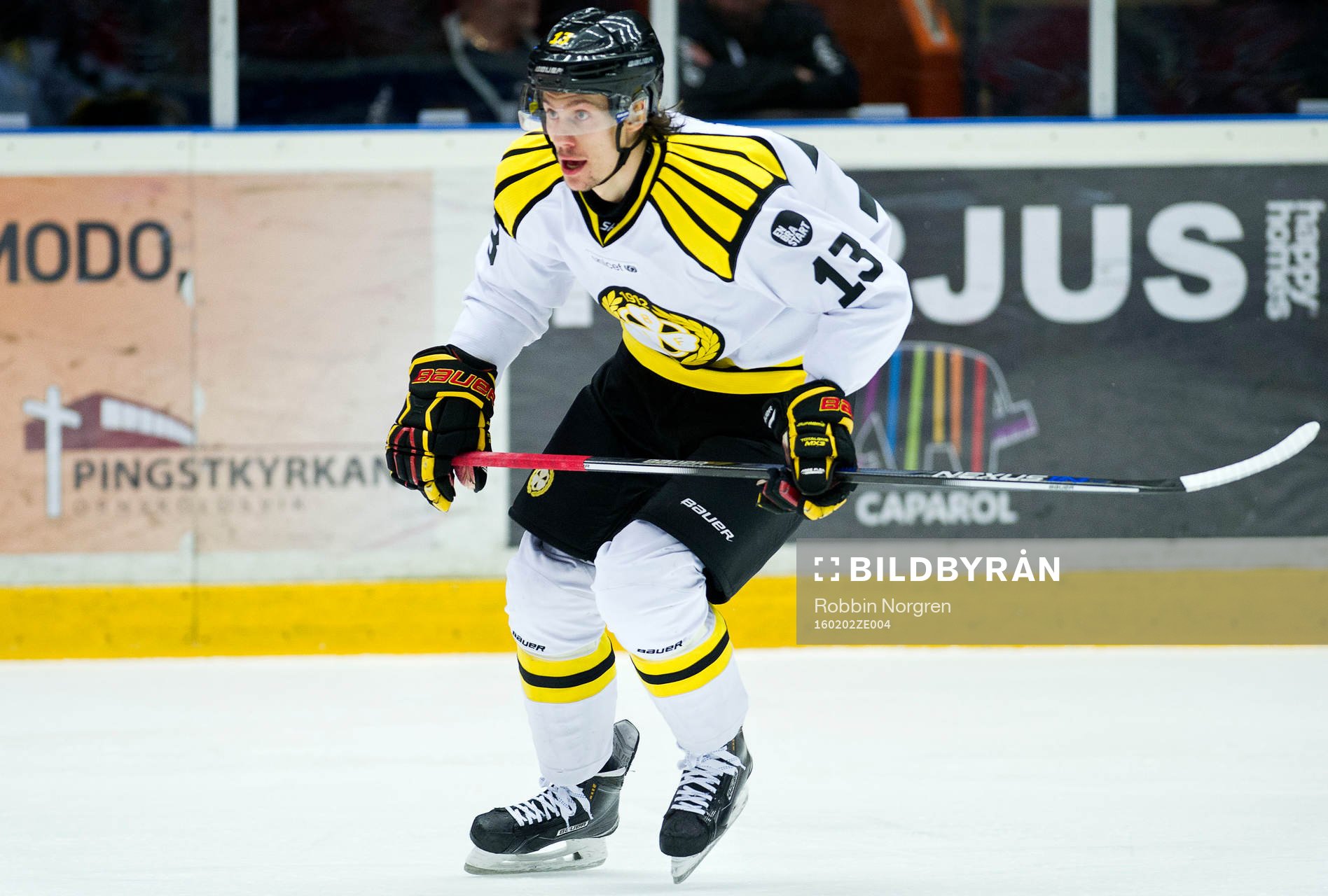 Brynäs Sondre Olden