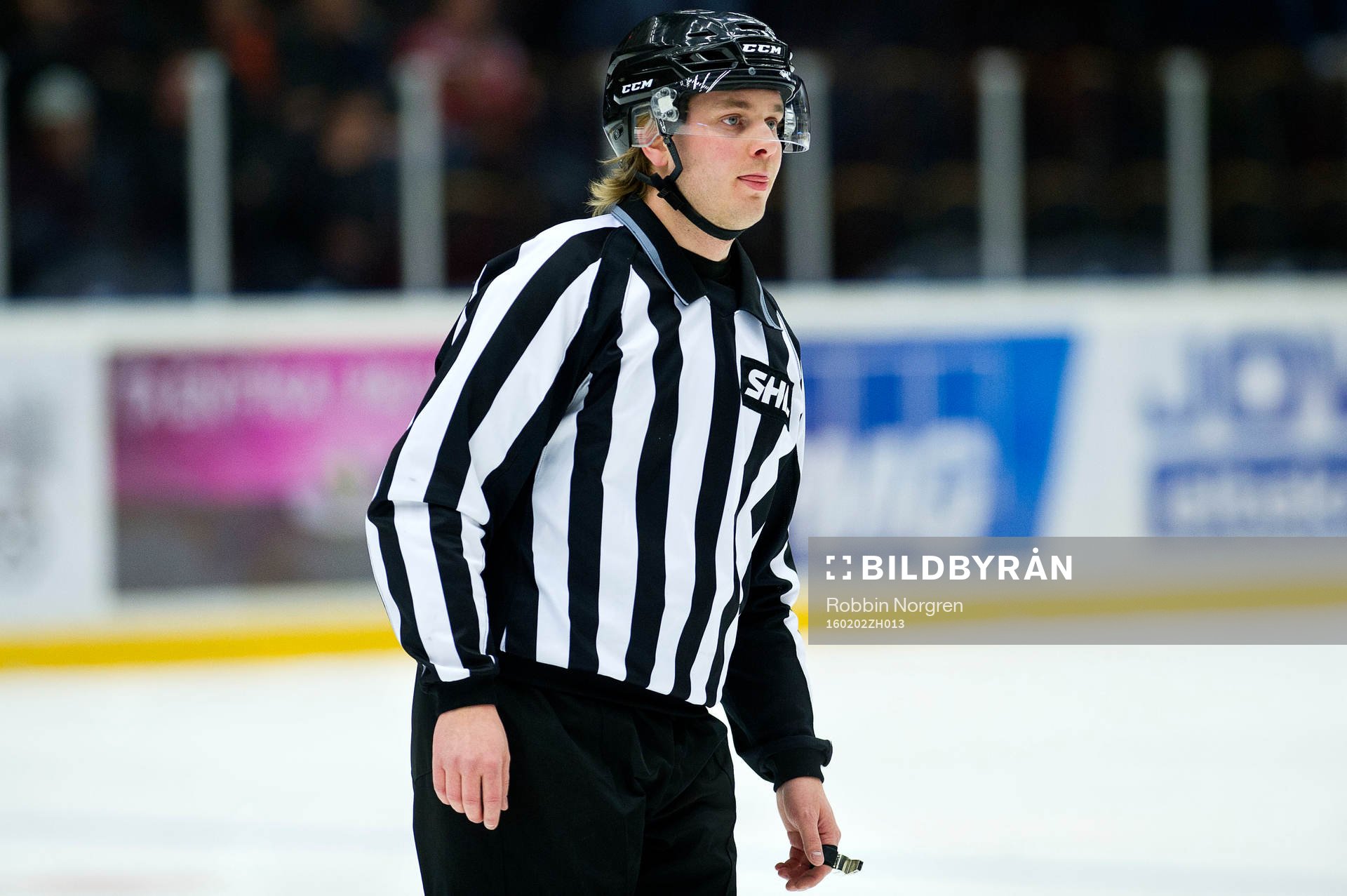 domaren Daniel Persson
