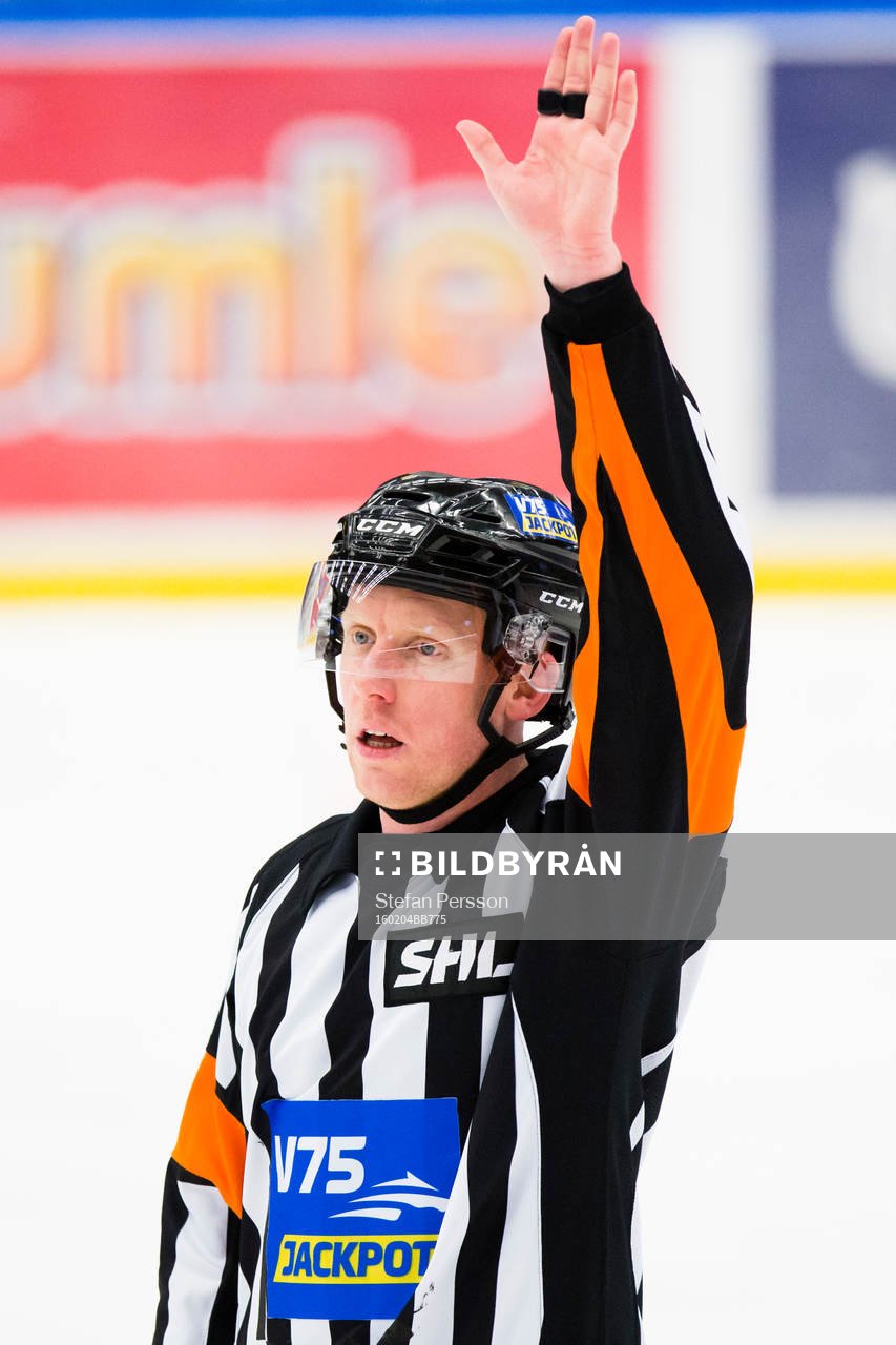 Domaren Mikael Holm