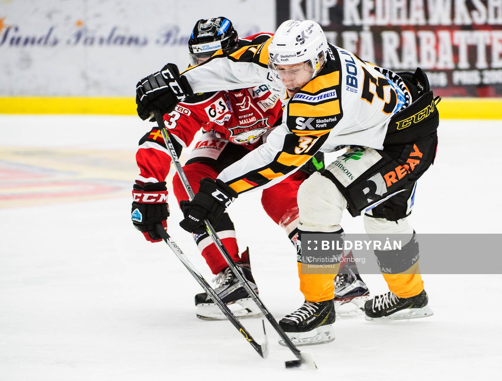 Skellefteås John Norman mot Malmö Redhawks Kent McDonell