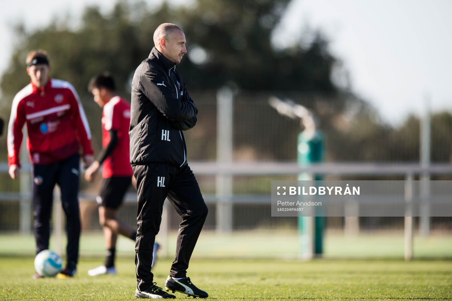Helsingborgs manager Henrik Larsson