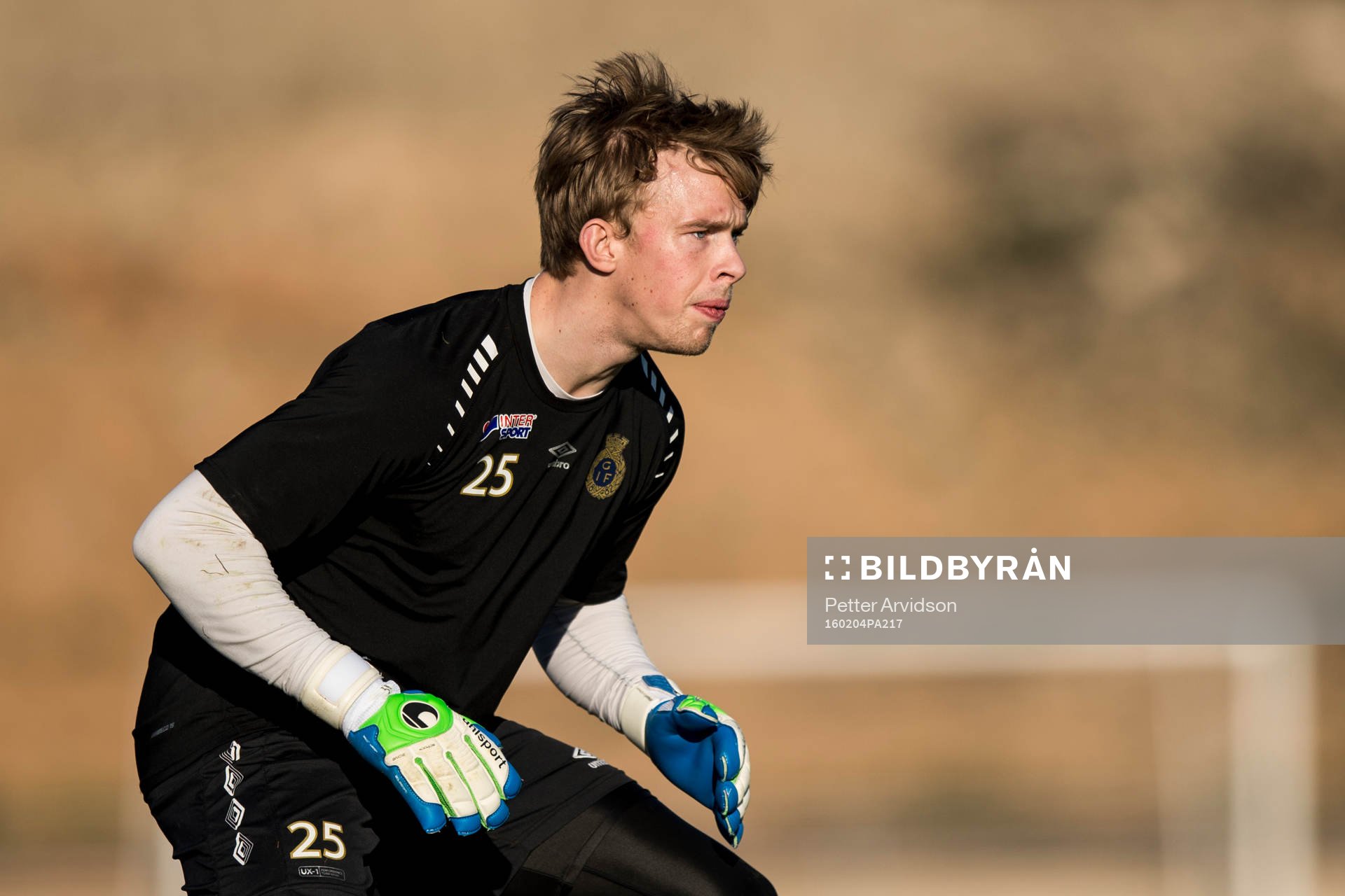 Gefles målvakt Andreas Andersson