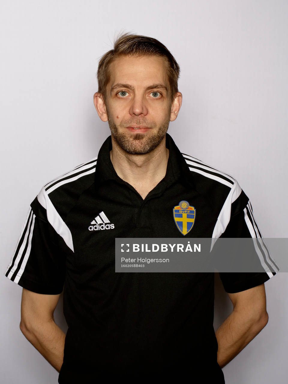 Domare Johan Hamlin