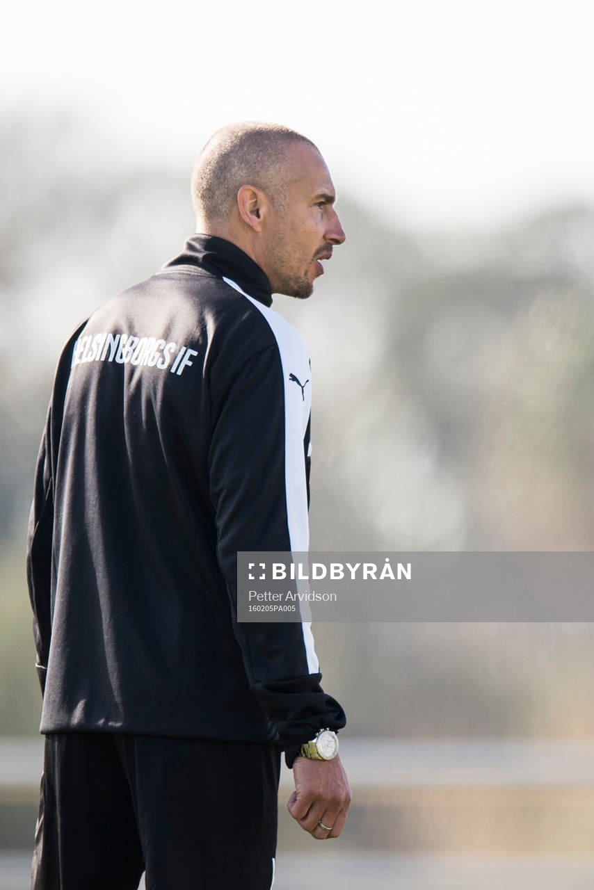 Helsingborgs manager Henrik Larsson