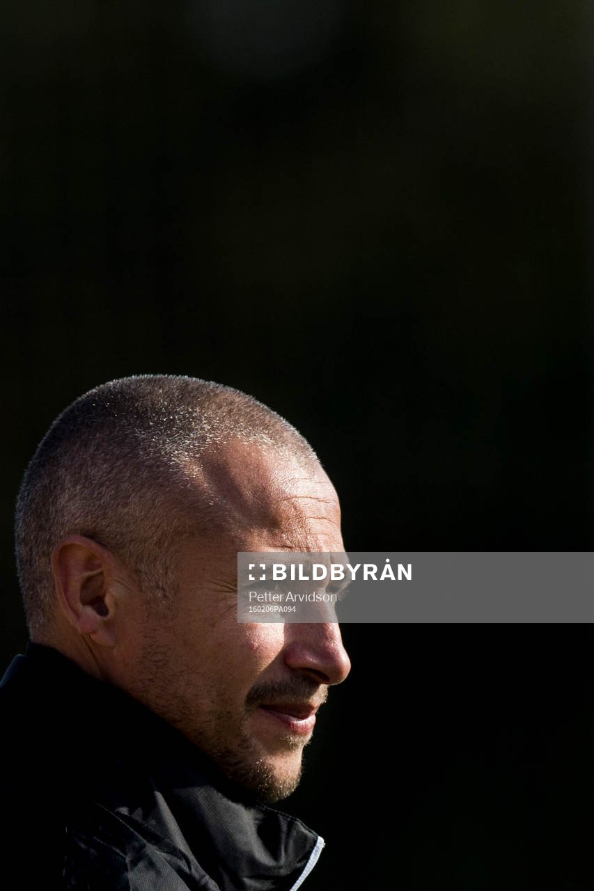 Helsingborgs manager Henrik Larsson