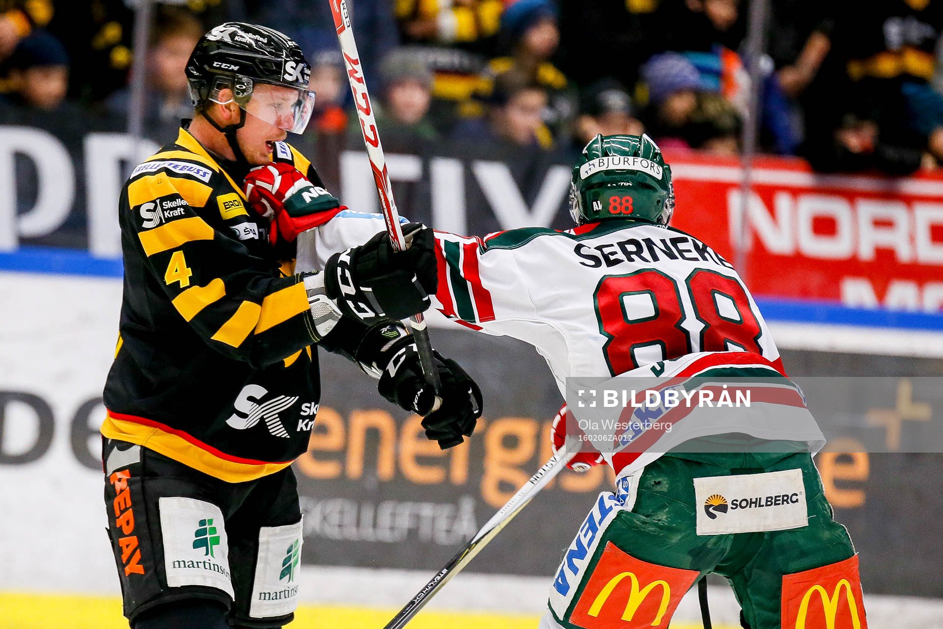 Skellefteås Tim Heed
