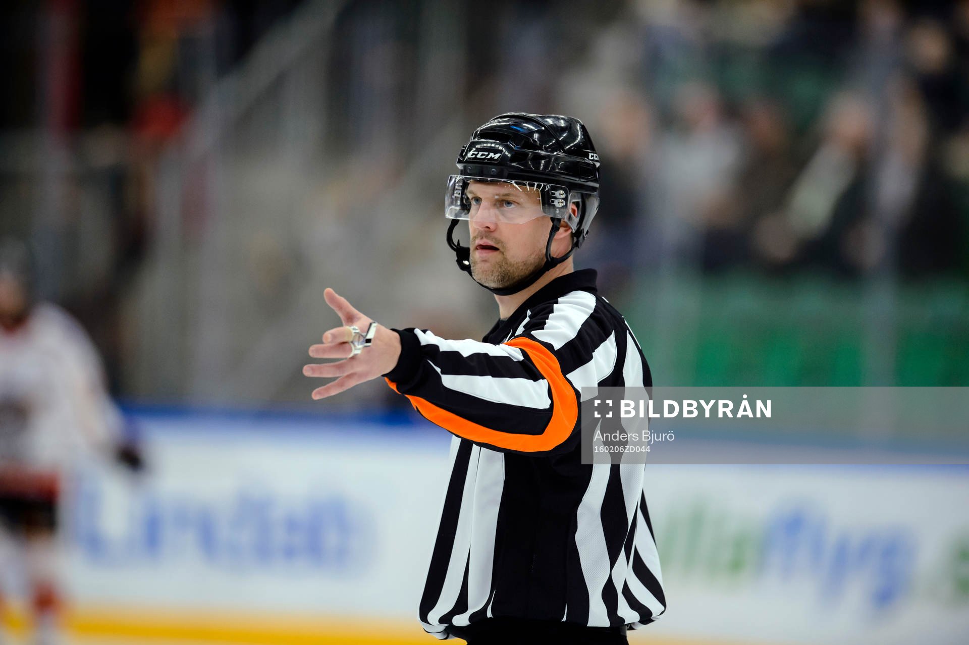 Domare Mikael Nord