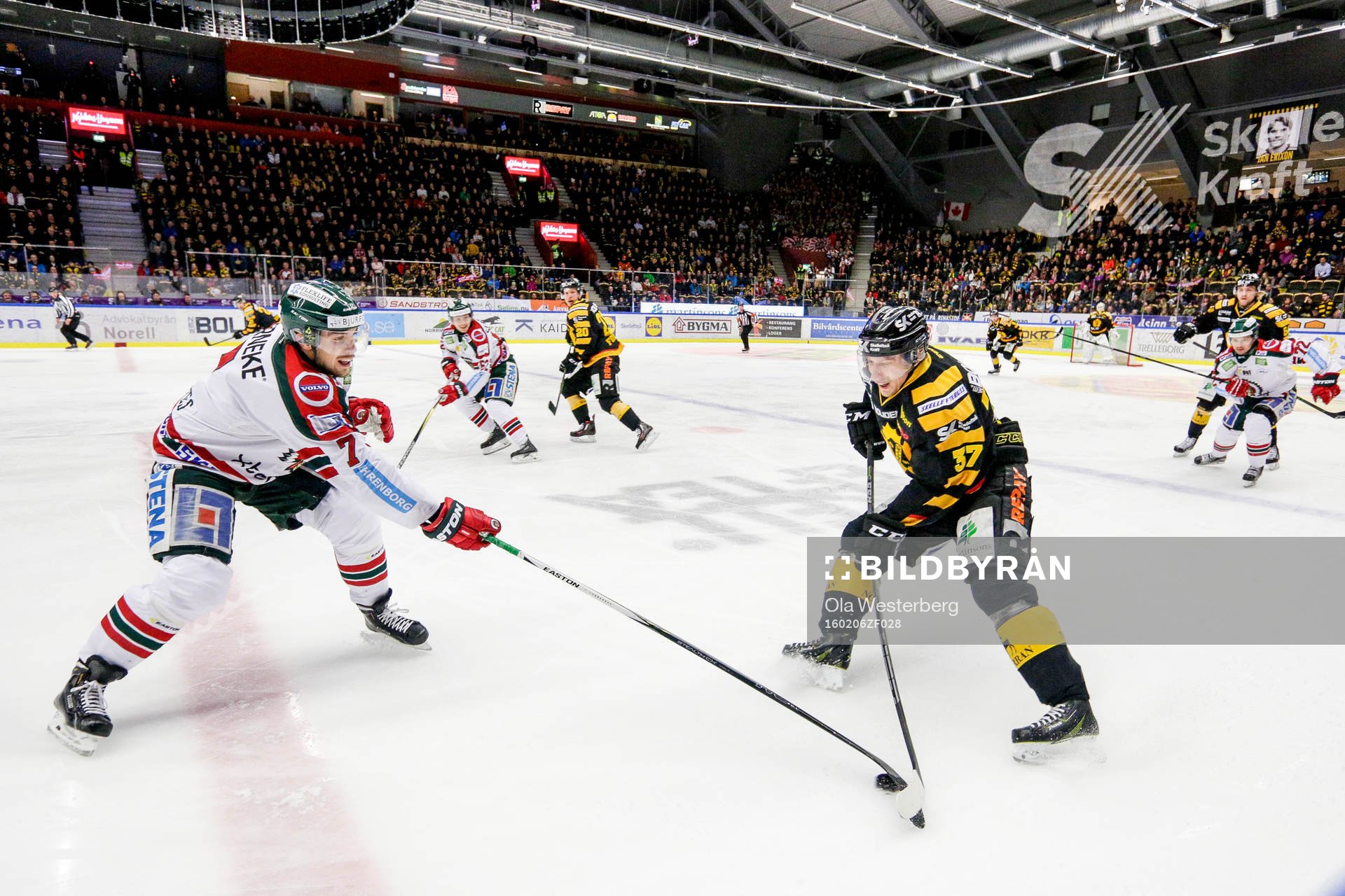 Skellefteås John Norman