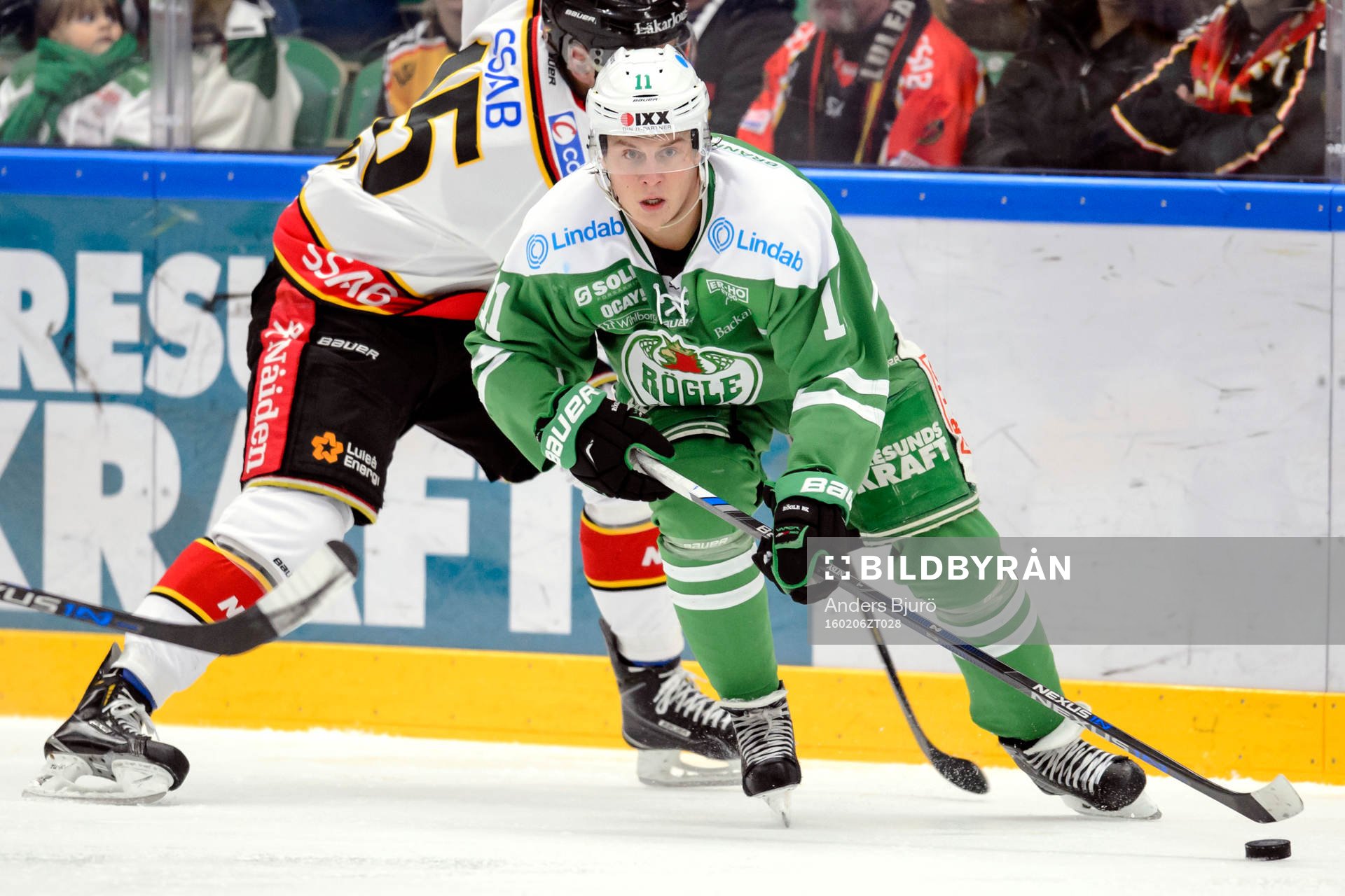 Rögles David Åslin