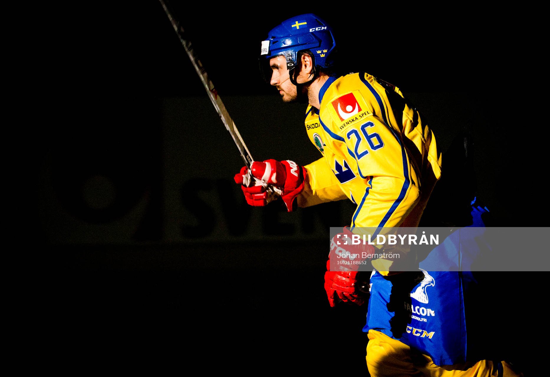 Sveriges Martin Johansson