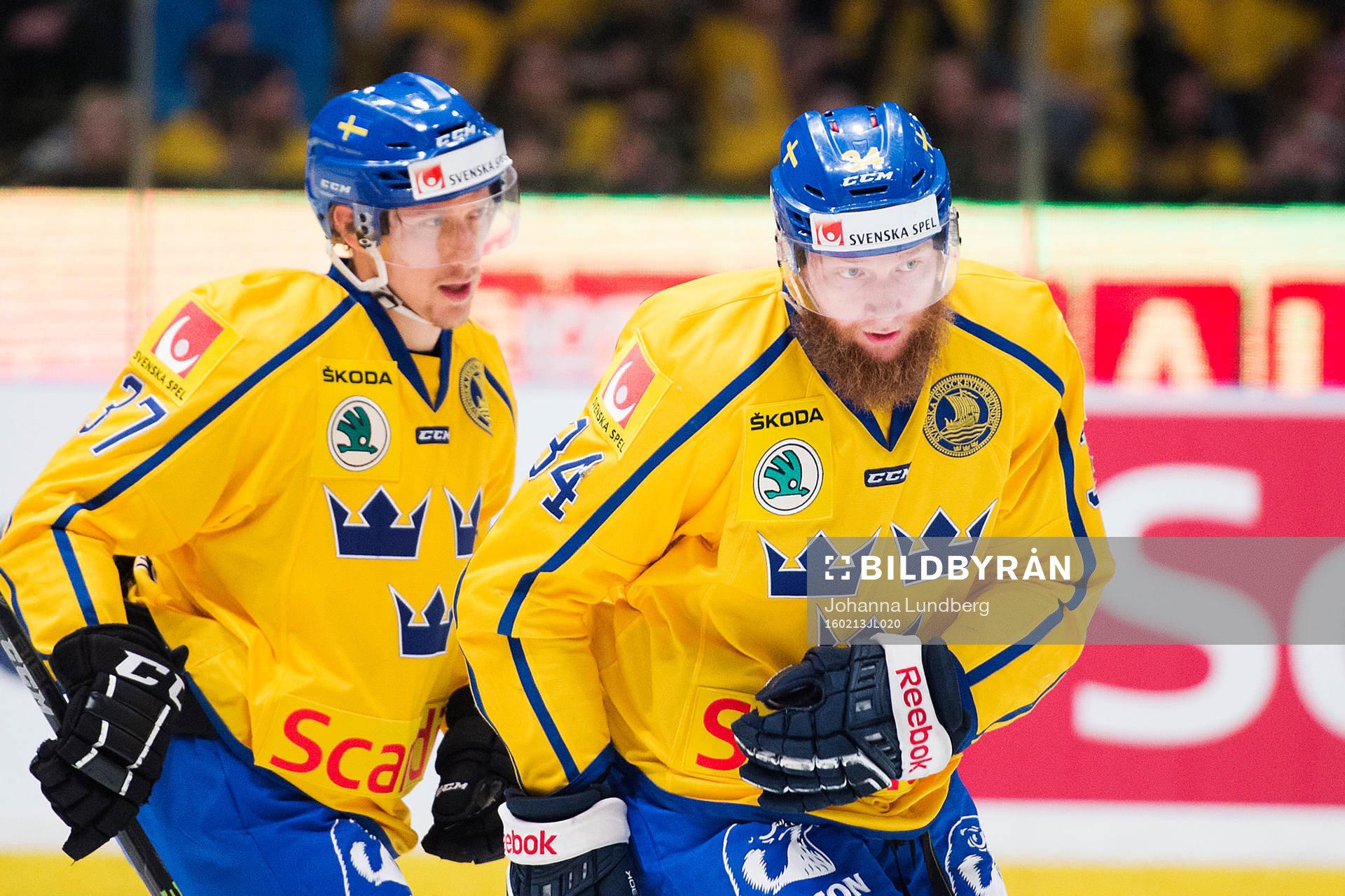 Sveriges John Norman och Jonas Junland