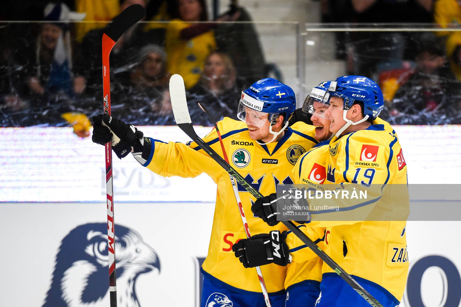 Sveriges Tim Heed jublar