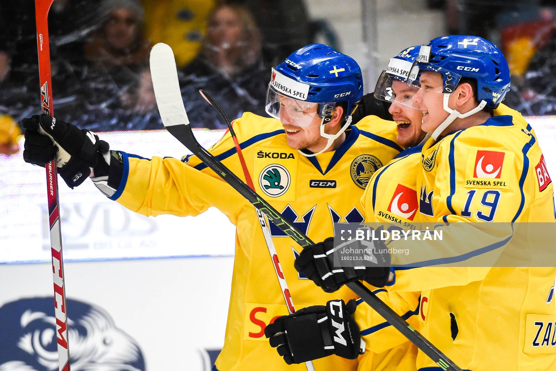 Sveriges Tim Heed jublar