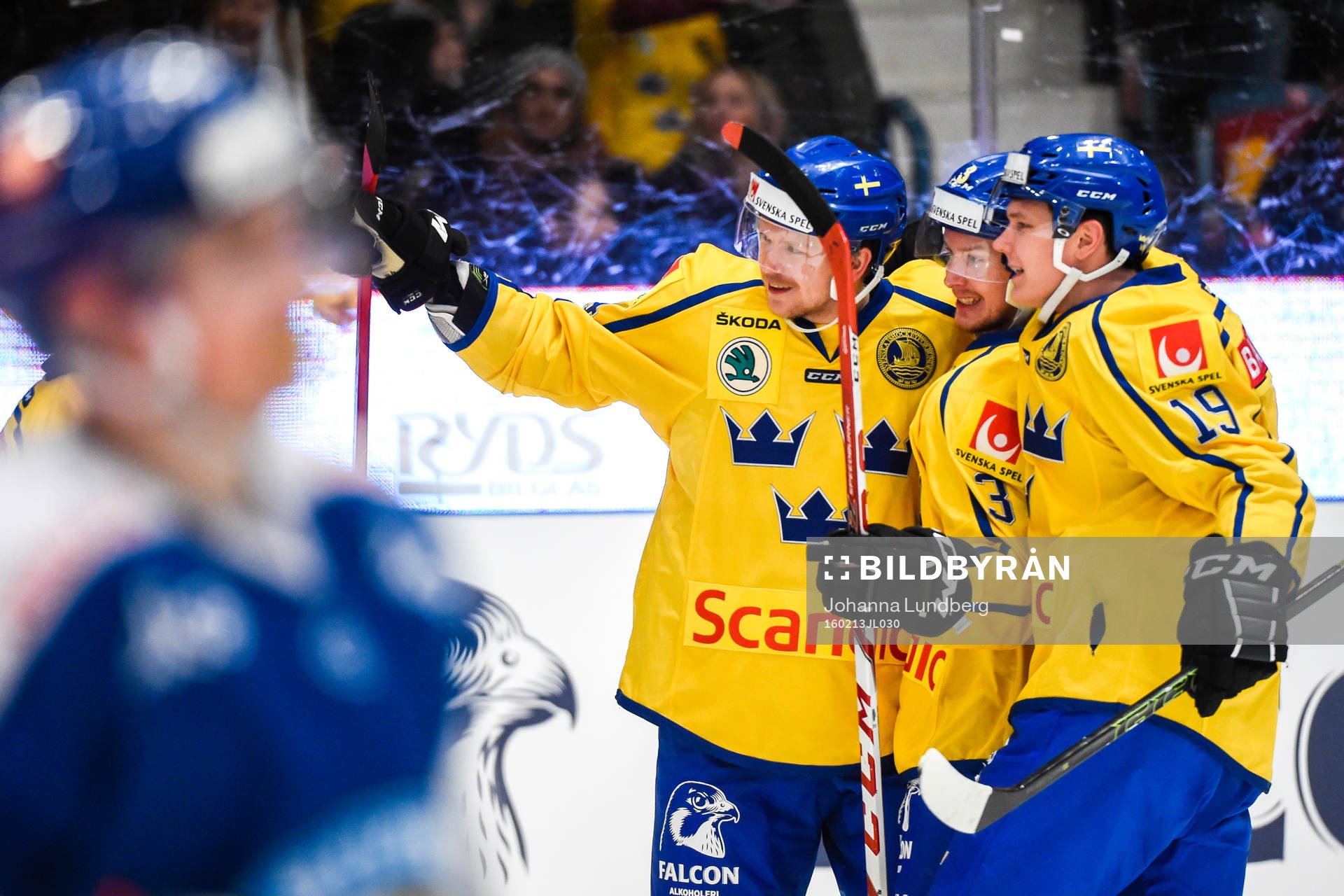Sveriges Tim Heed jublar