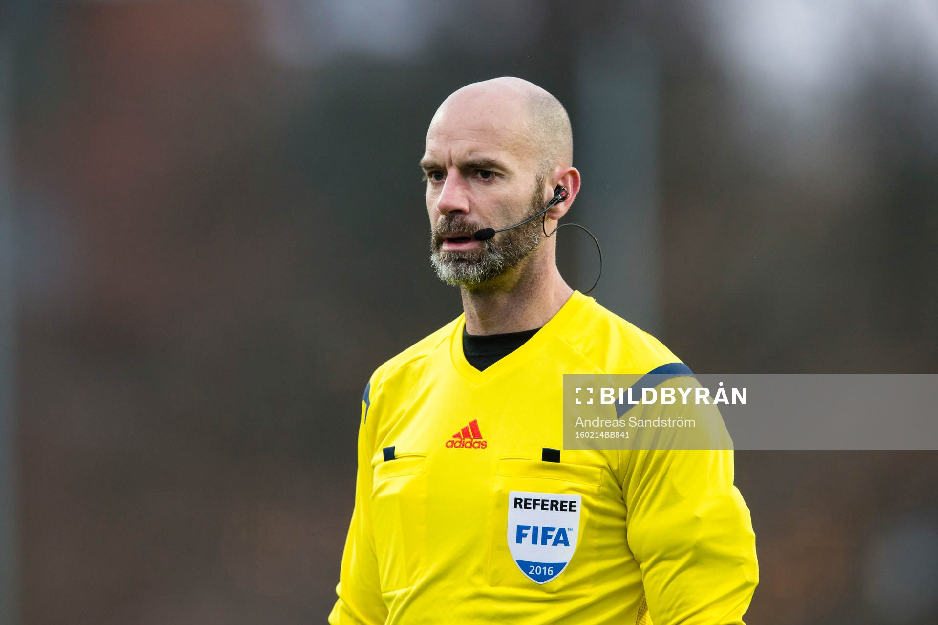 Domare Stefan Johannesson