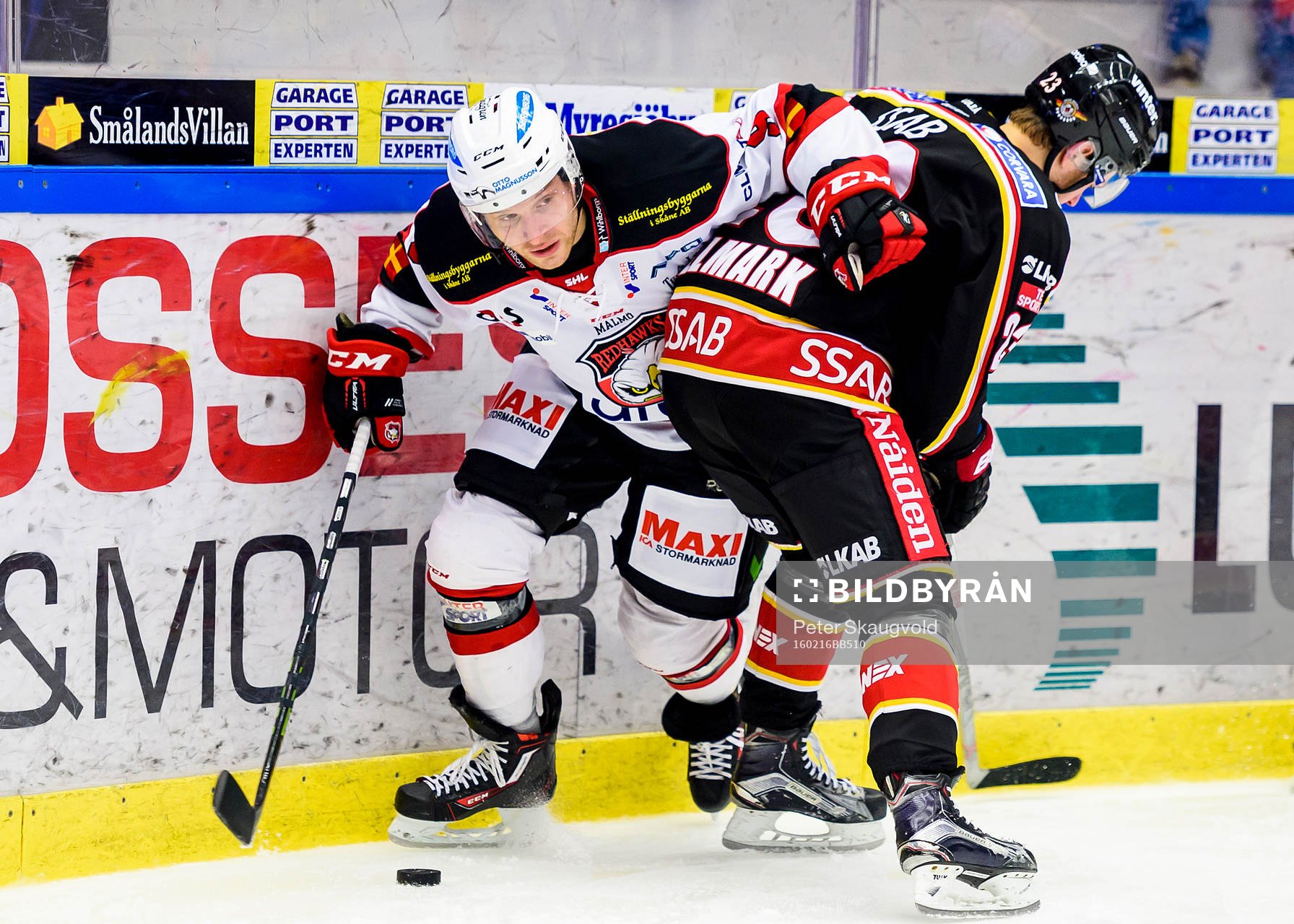 Malmö Redhawks Frederik Storm