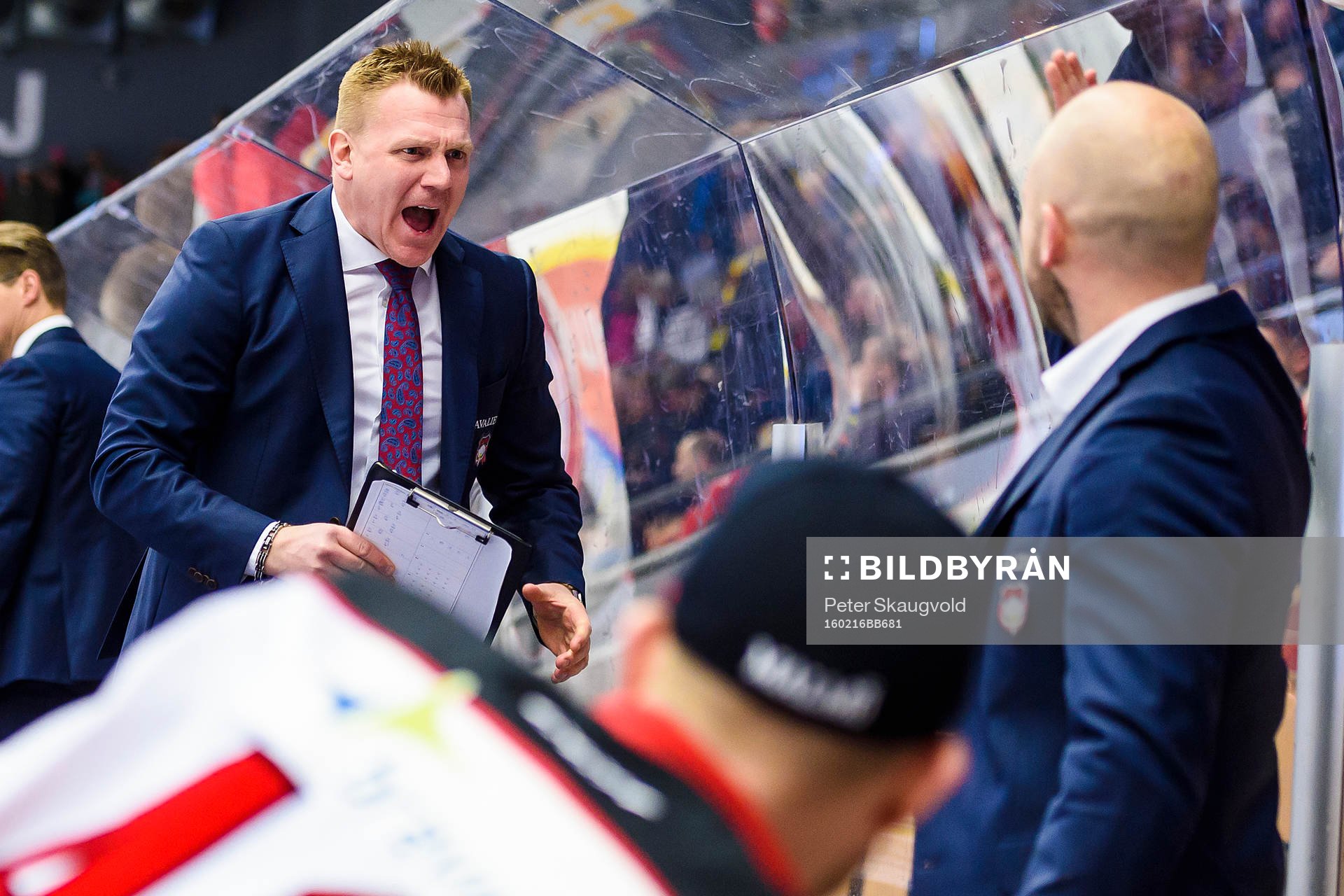 Malmö Redhawks assisterande tränare Jesper Mattsson jublar
