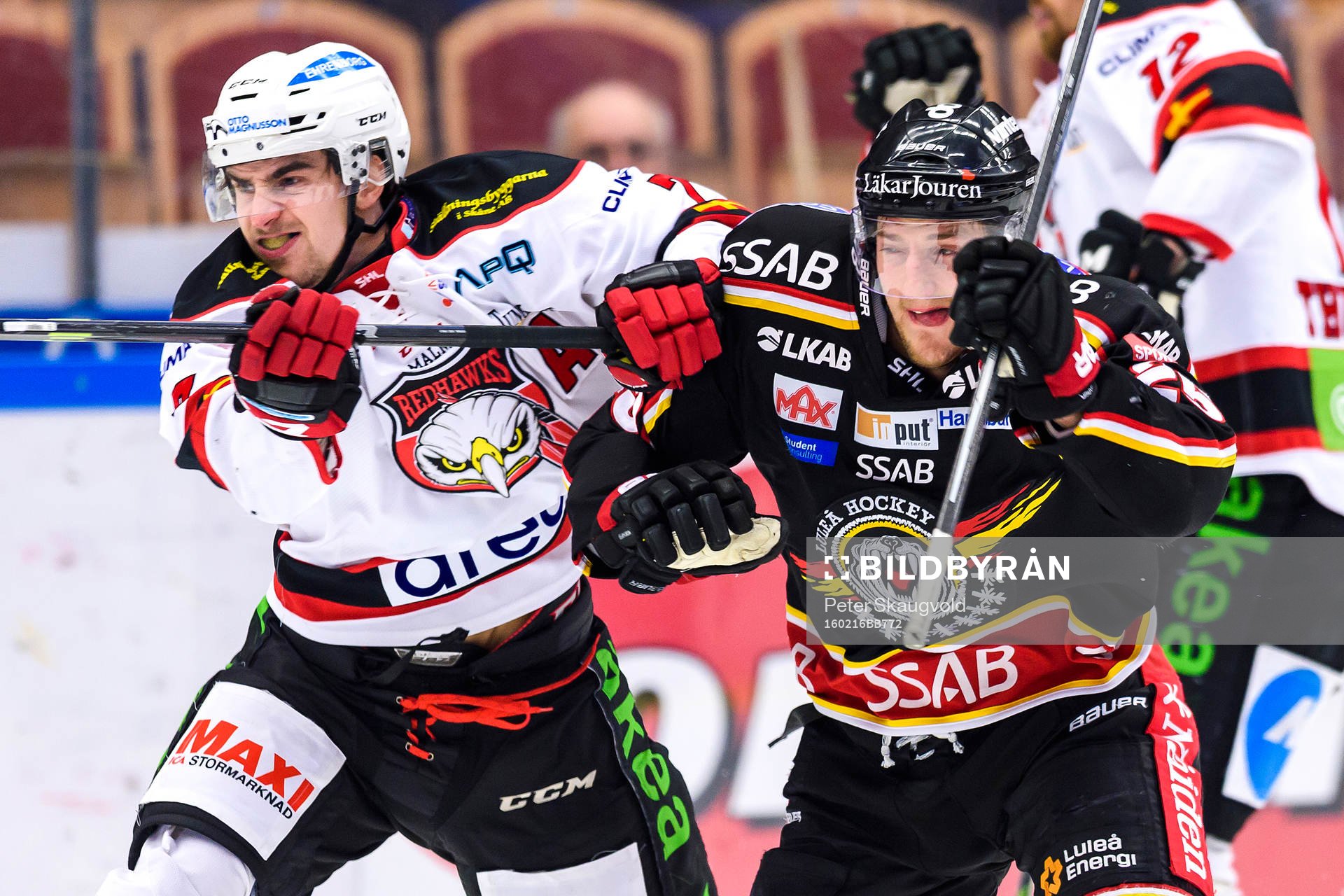 Malmö Redhawks Nils Andersson
