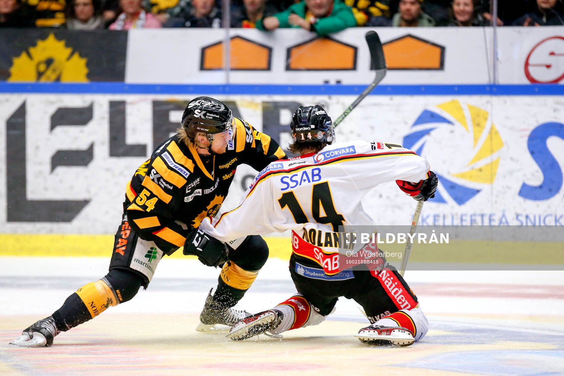 Skellefteås Anton Lindholm och Luleås Anton Toolanen