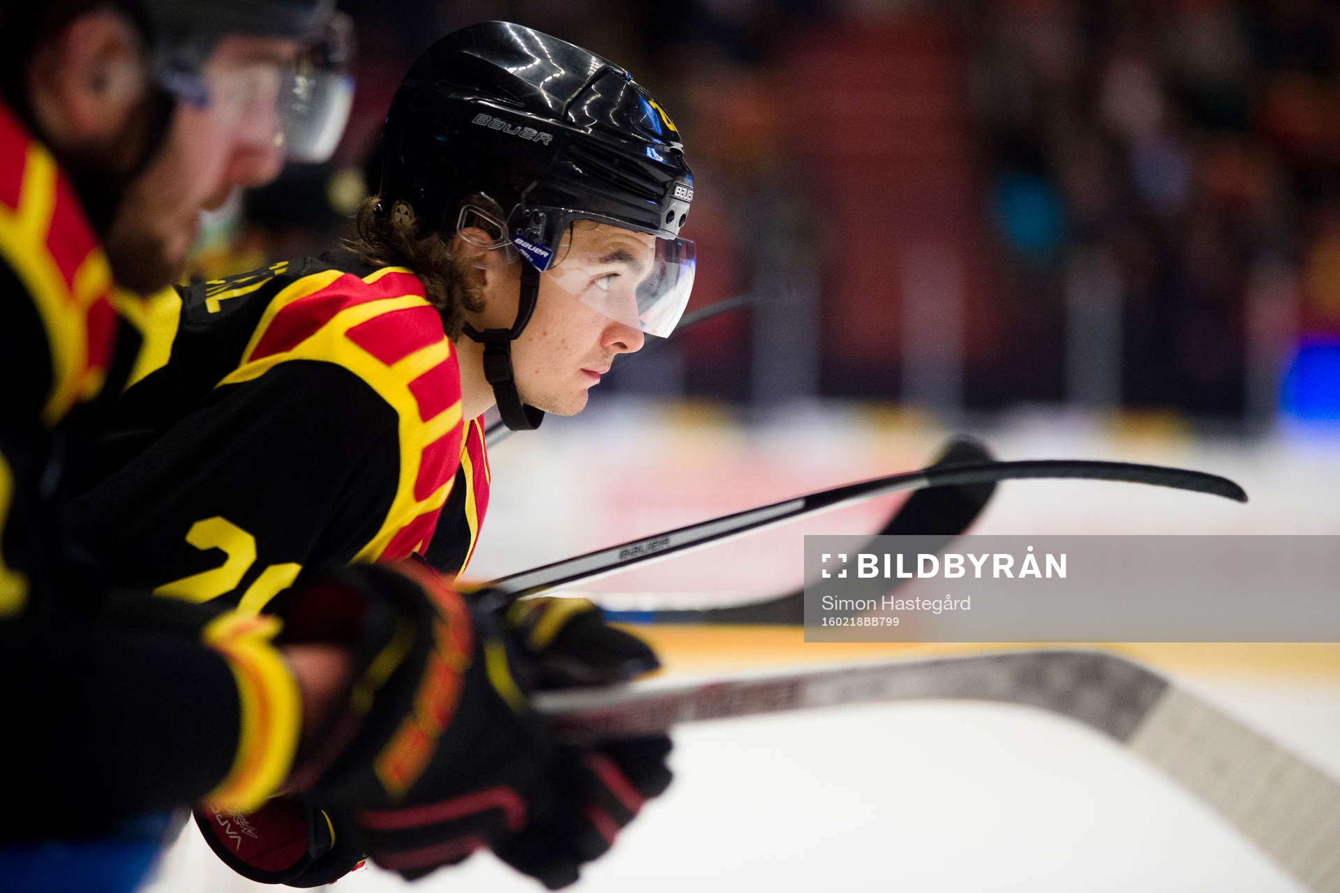 Brynäs Adam Brodecki deppar