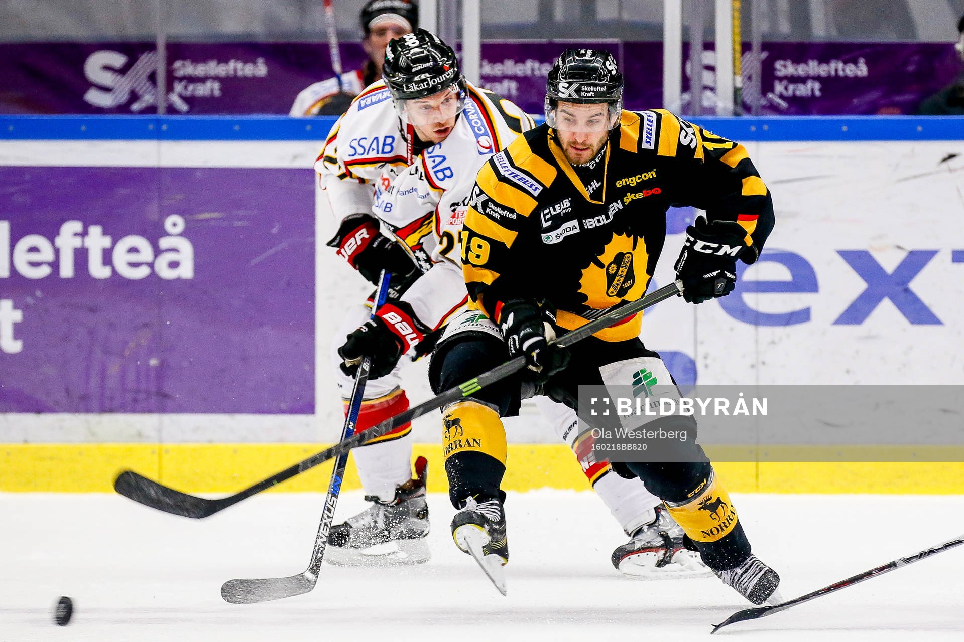 Skellefteås Andrew Calof