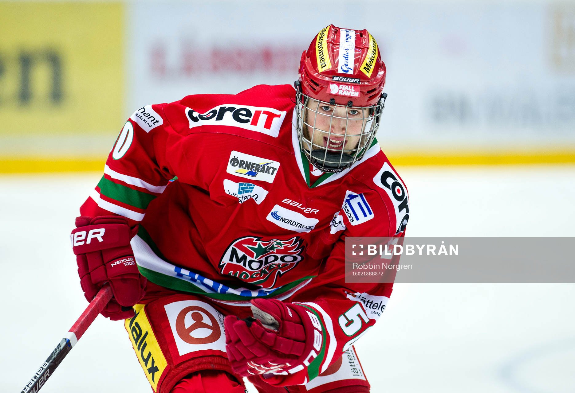 Modos Tim Wahlgren