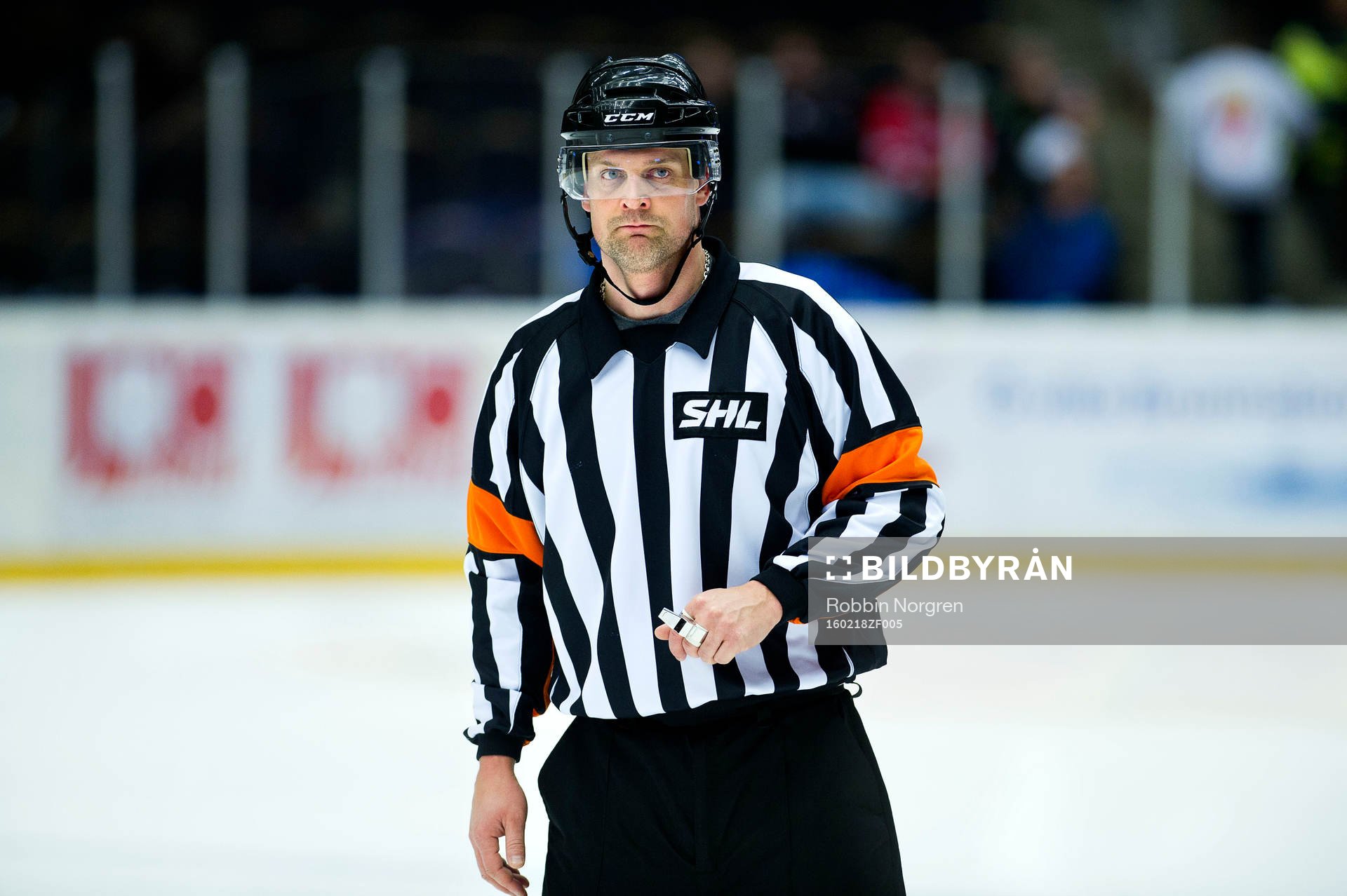 domaren Mikael Nord