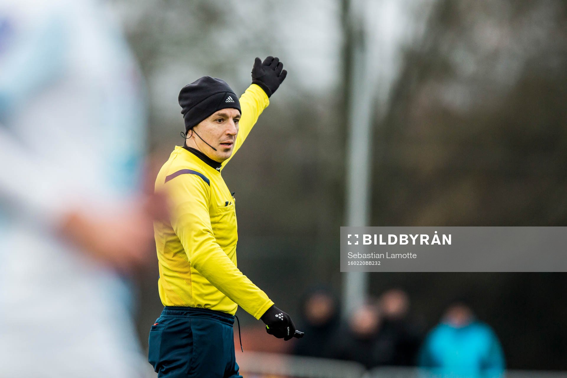 Domare Bojan Pandzic