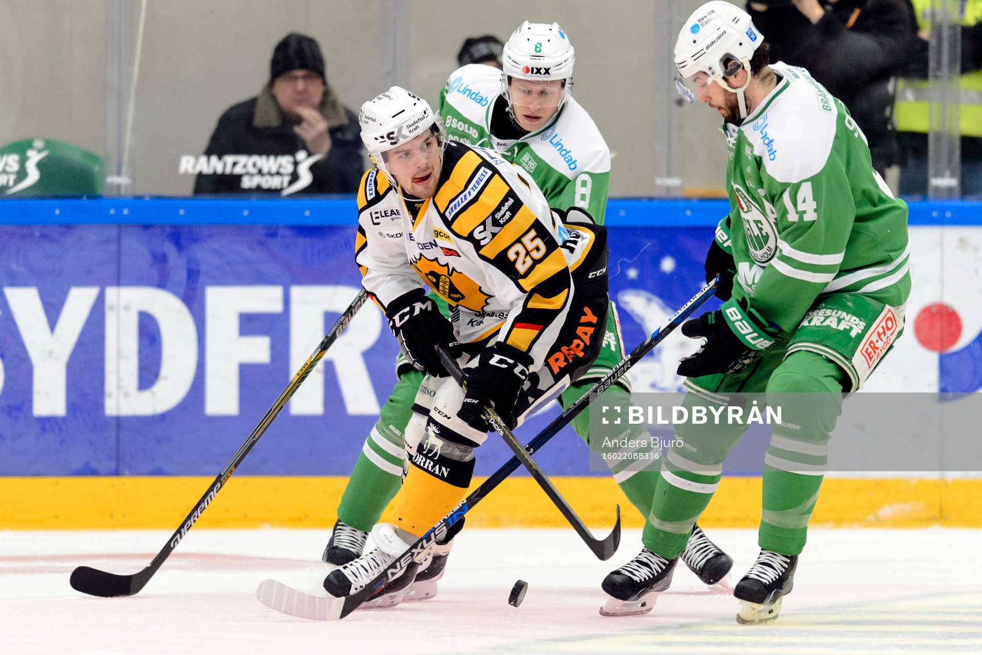 Skellefteås Axel Holmström