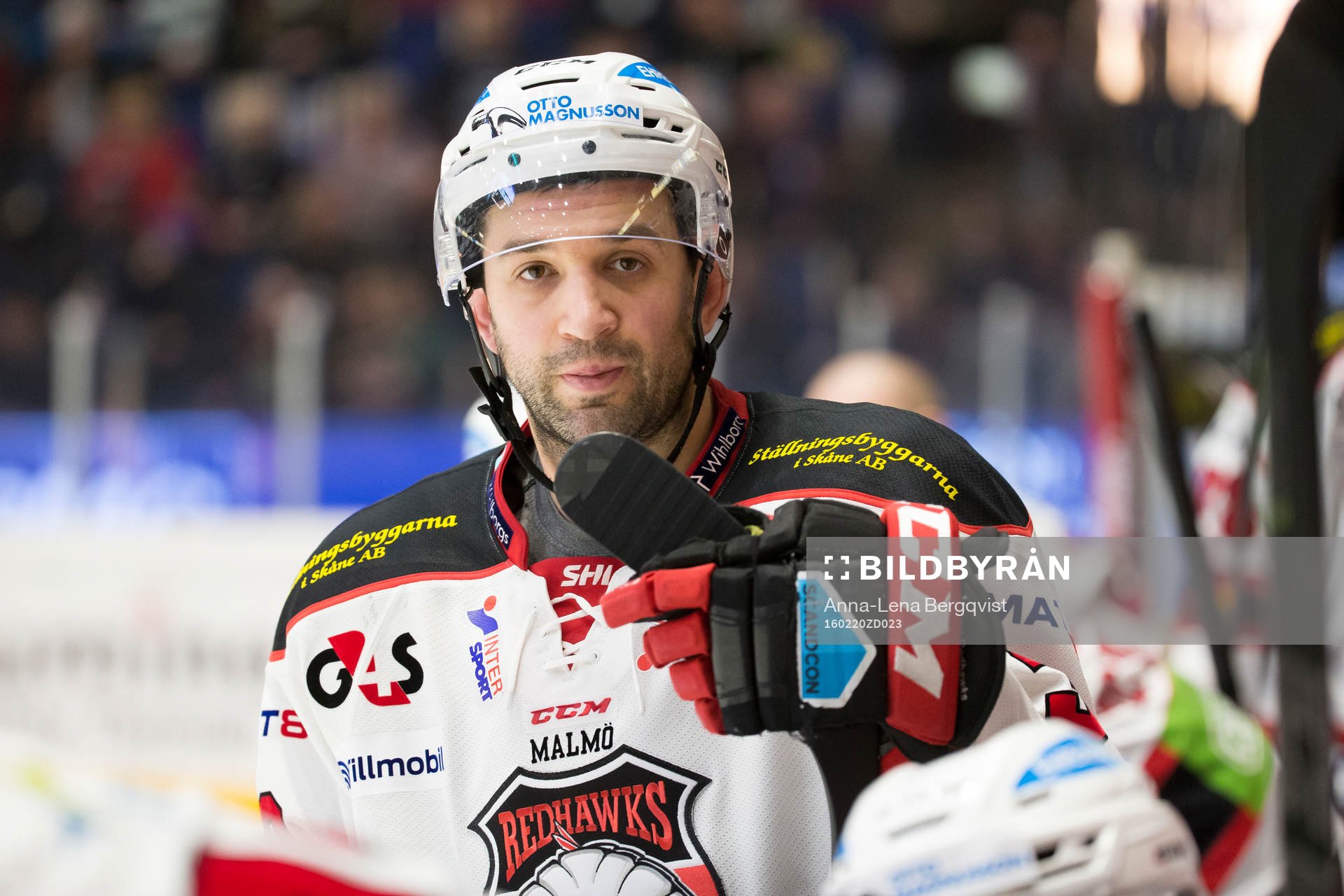Malmö Redhawks  Eric Himelfarb