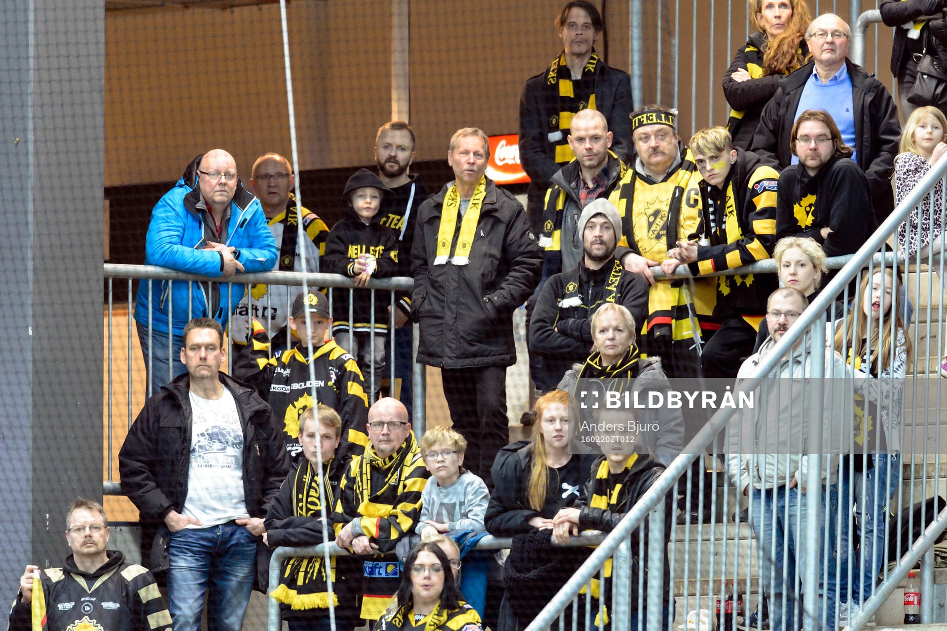 Skellefteås supporters