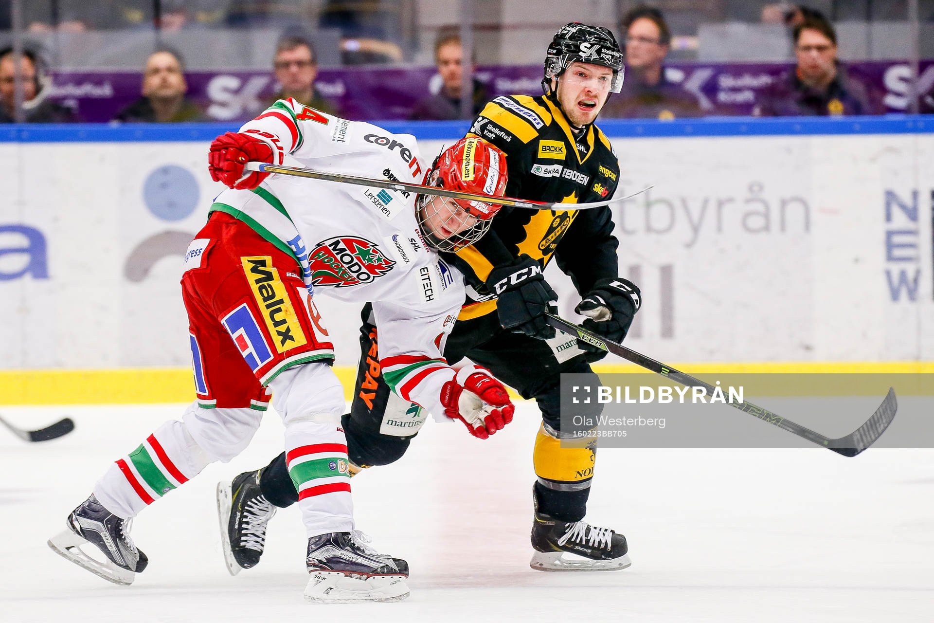 Skellefteås Martin Lundberg