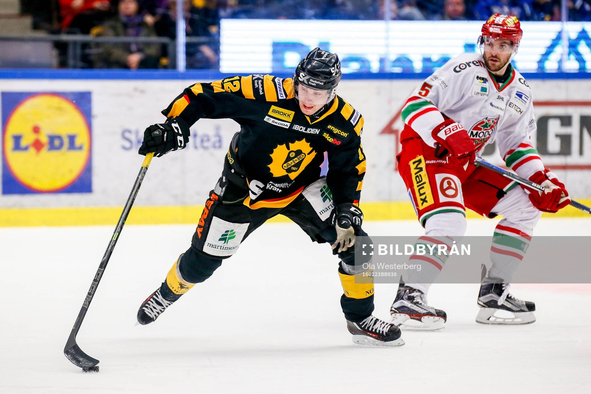Skellefteås Adam Pettersson