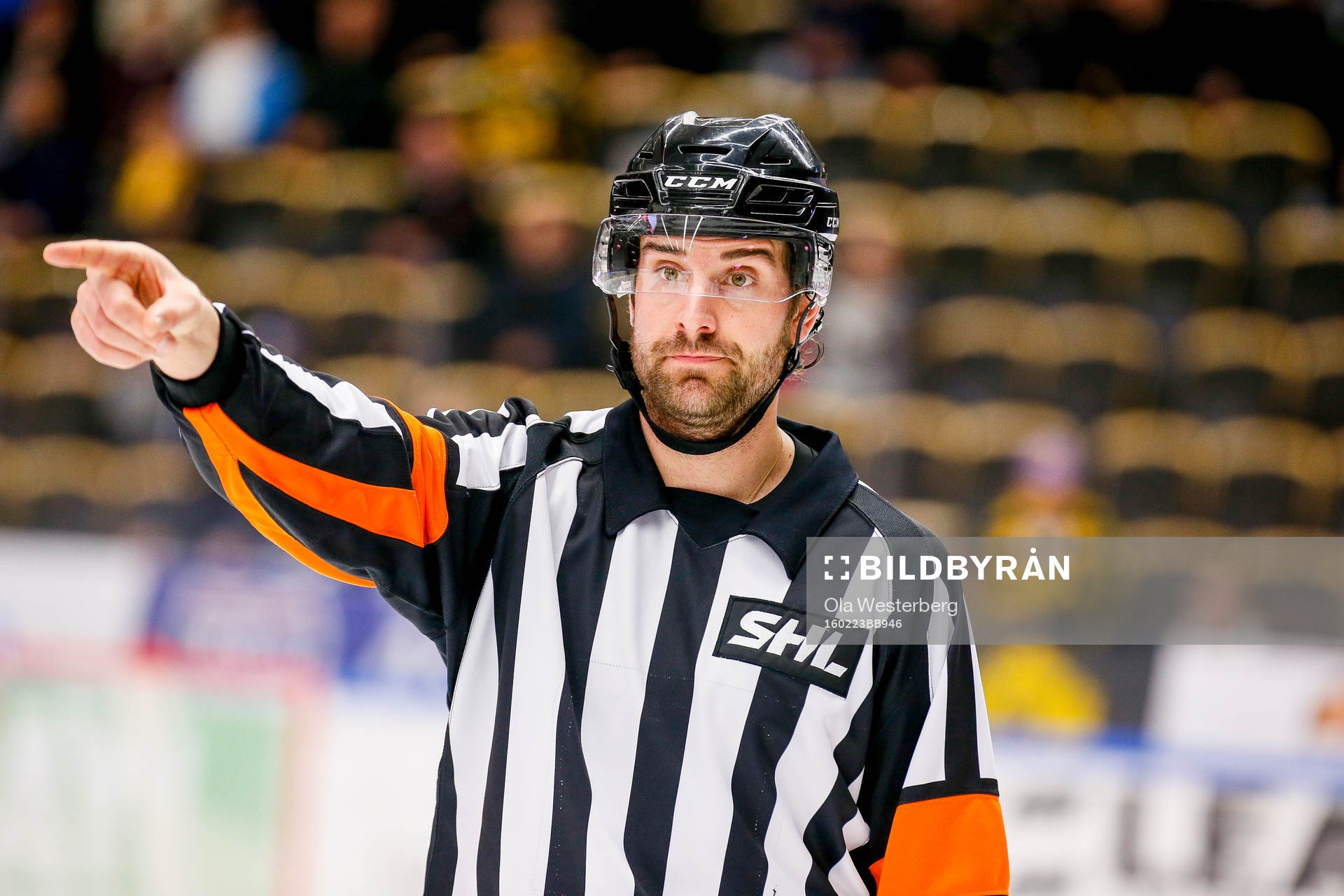 Domaren Mikael Sjöqvist