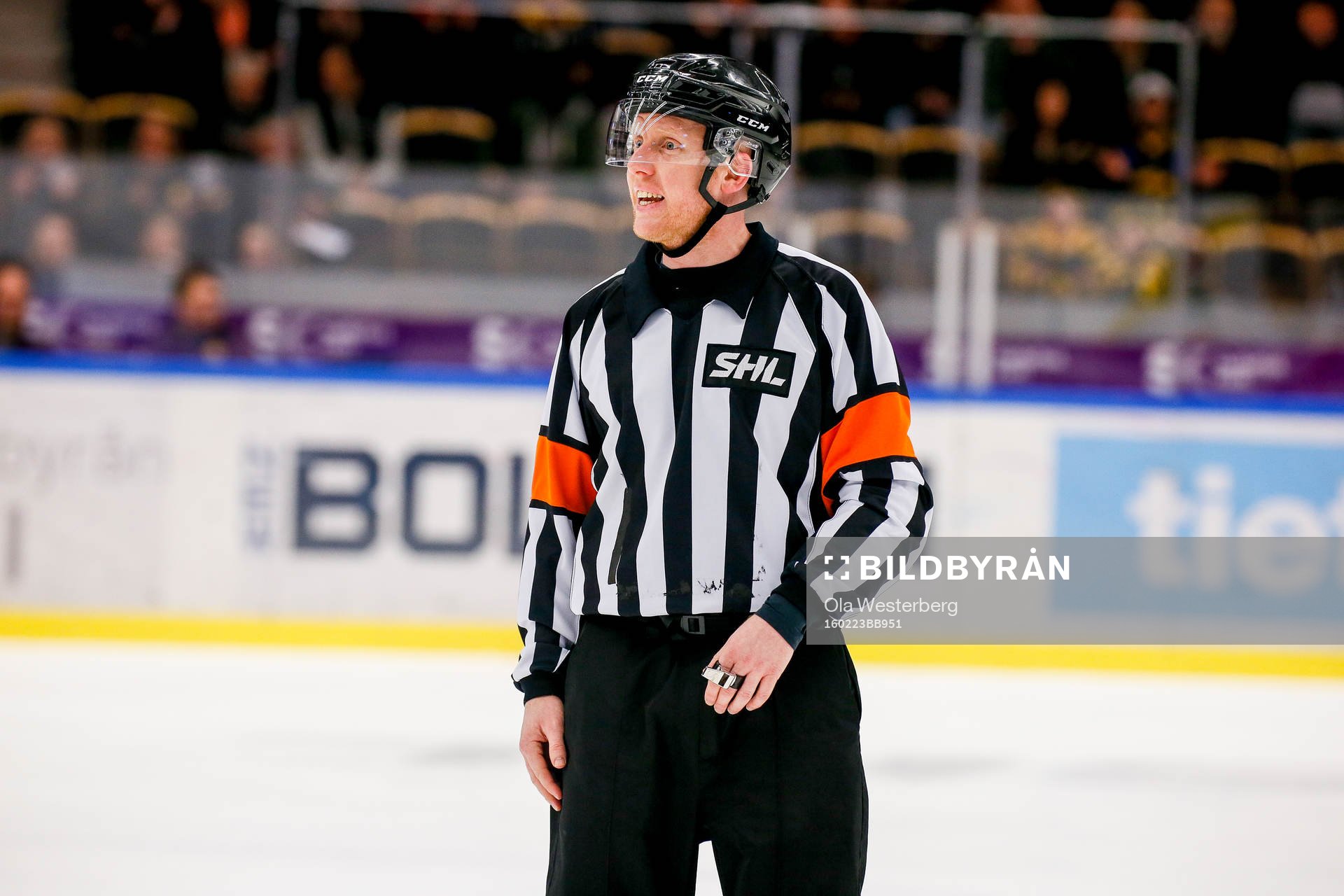 Domaren Mikael Holm