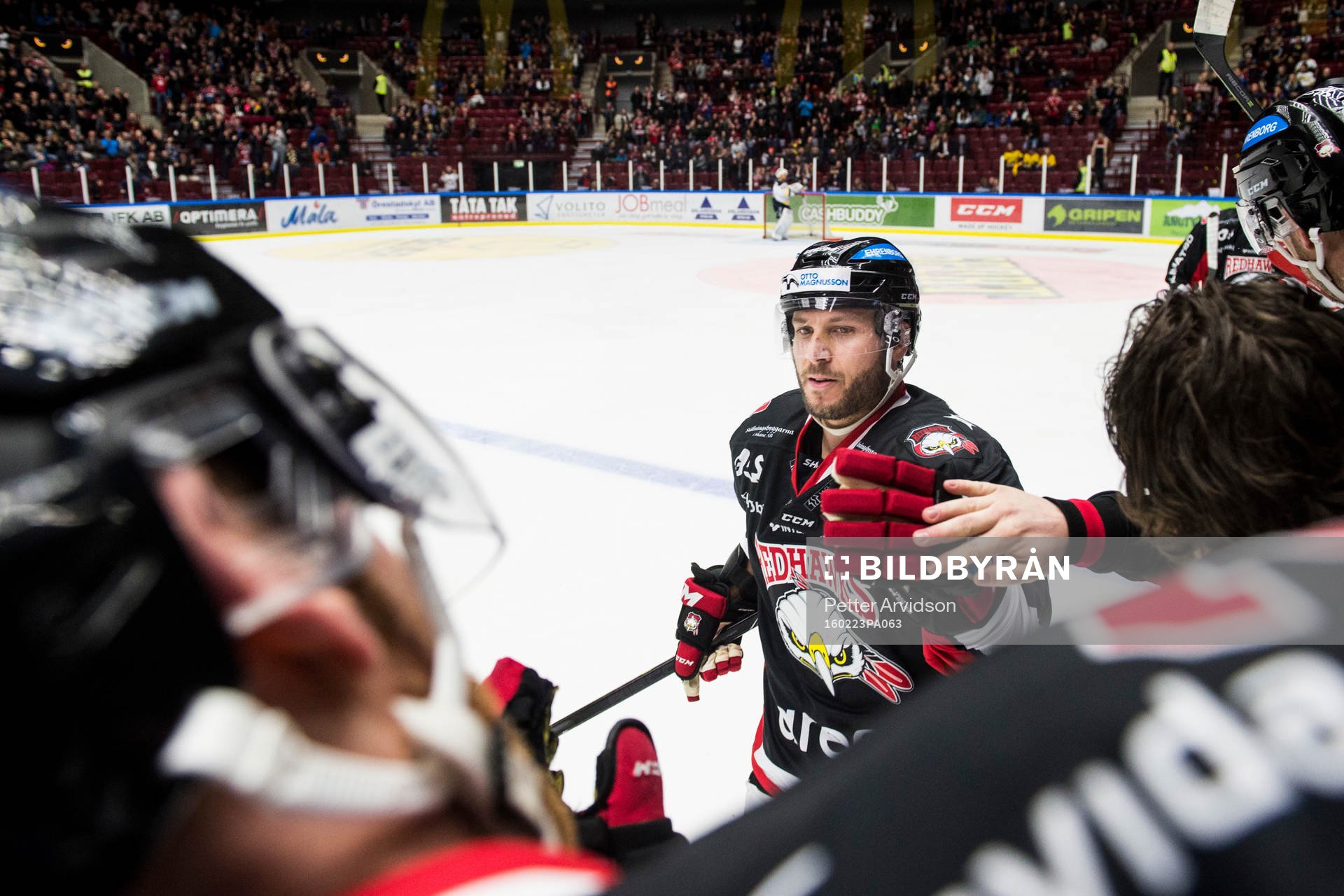Malmö Redhawks Joey Tenute jublar