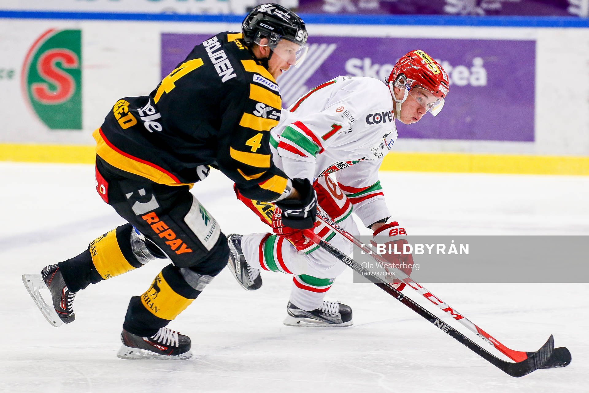 Skellefteås Tim Heed